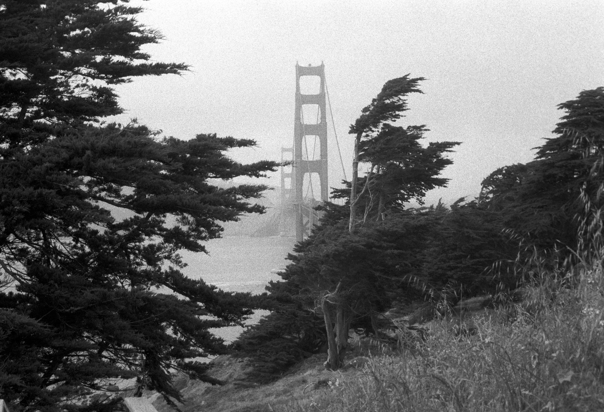 California (Black & White) - Golden Gate #1