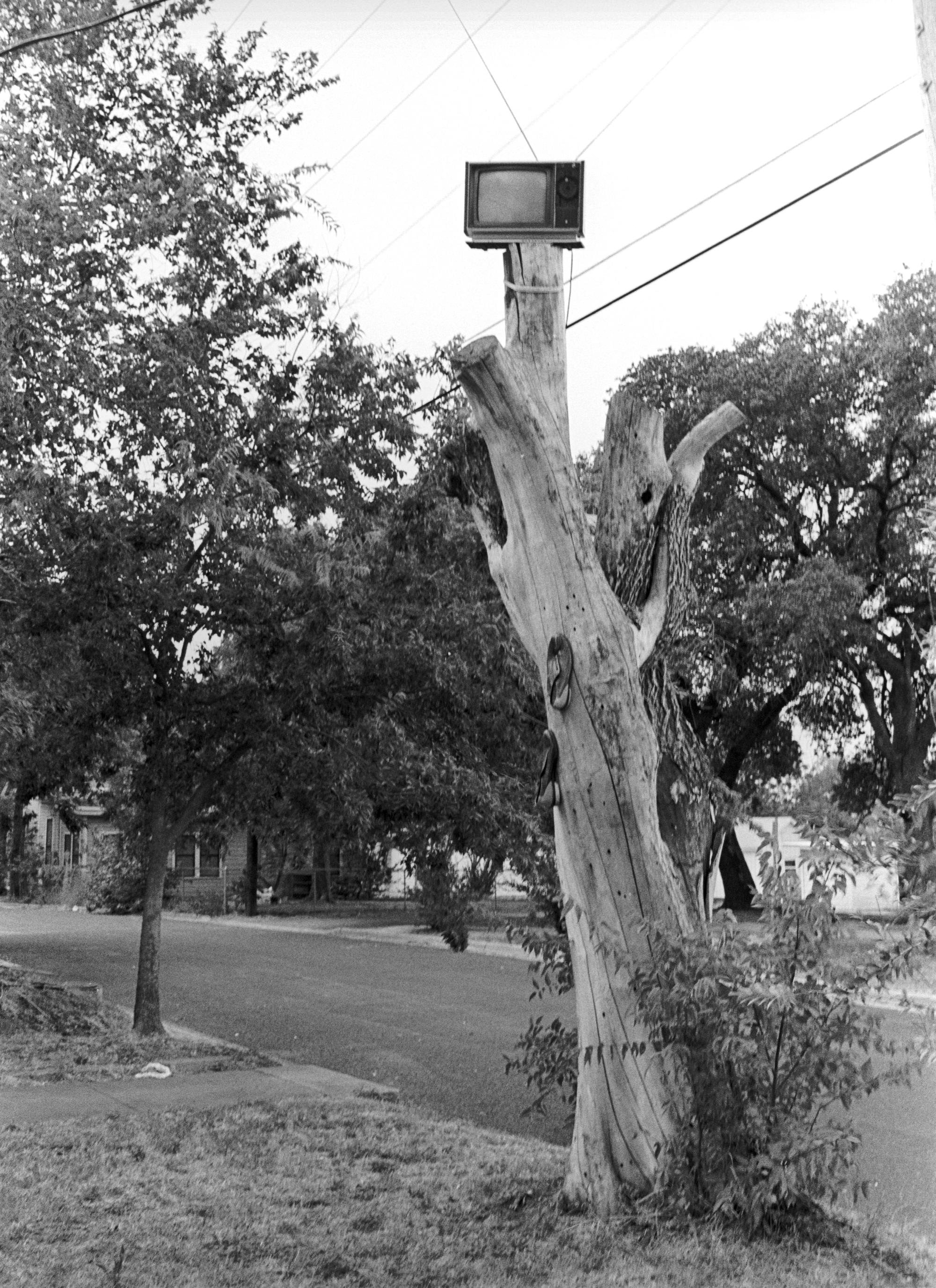 UT Austin (Black & White) - TV Tree