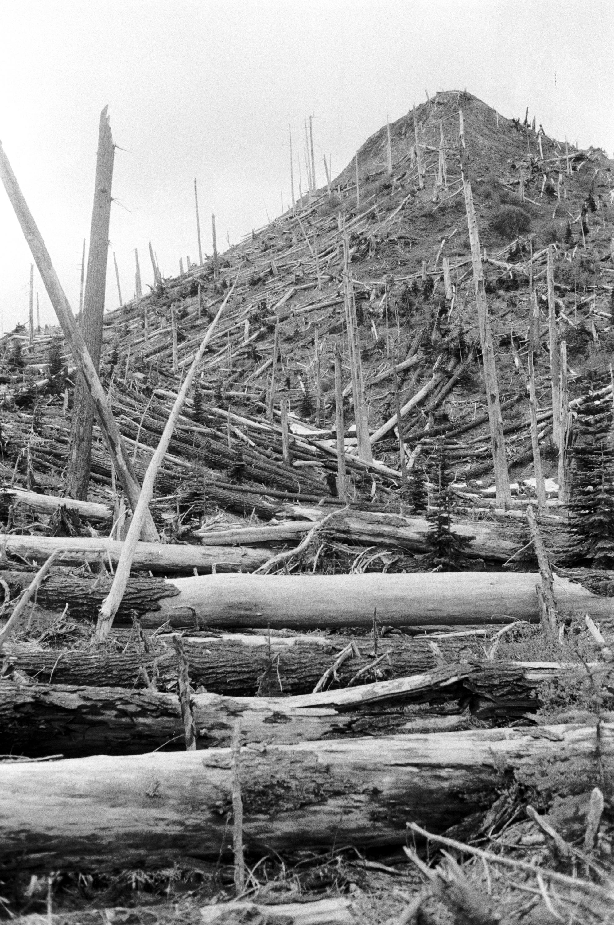Washington State (Black & White) - Destruction
