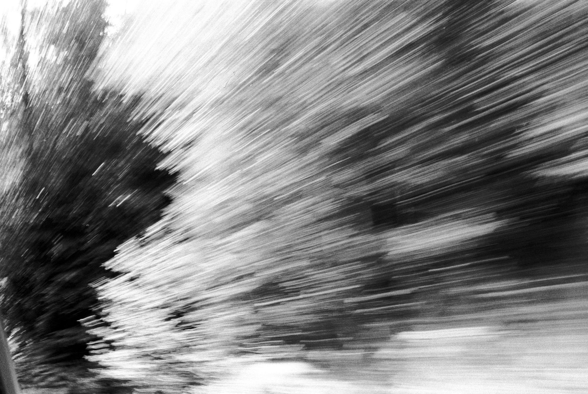 Washington State (Black & White) - Speed Trees