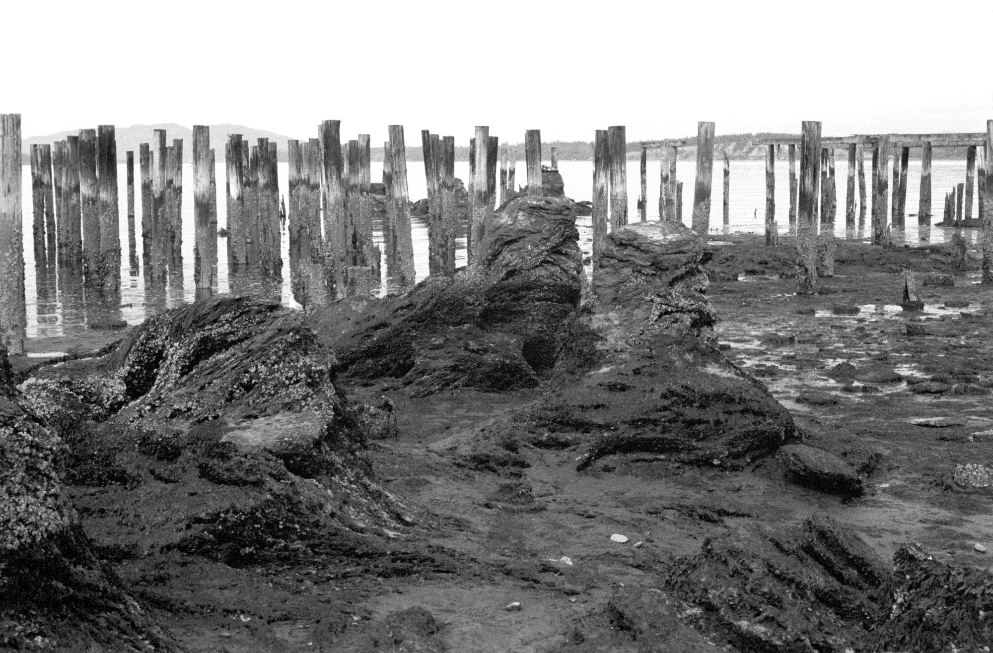 Washington State (Black & White) - Low Tide #2