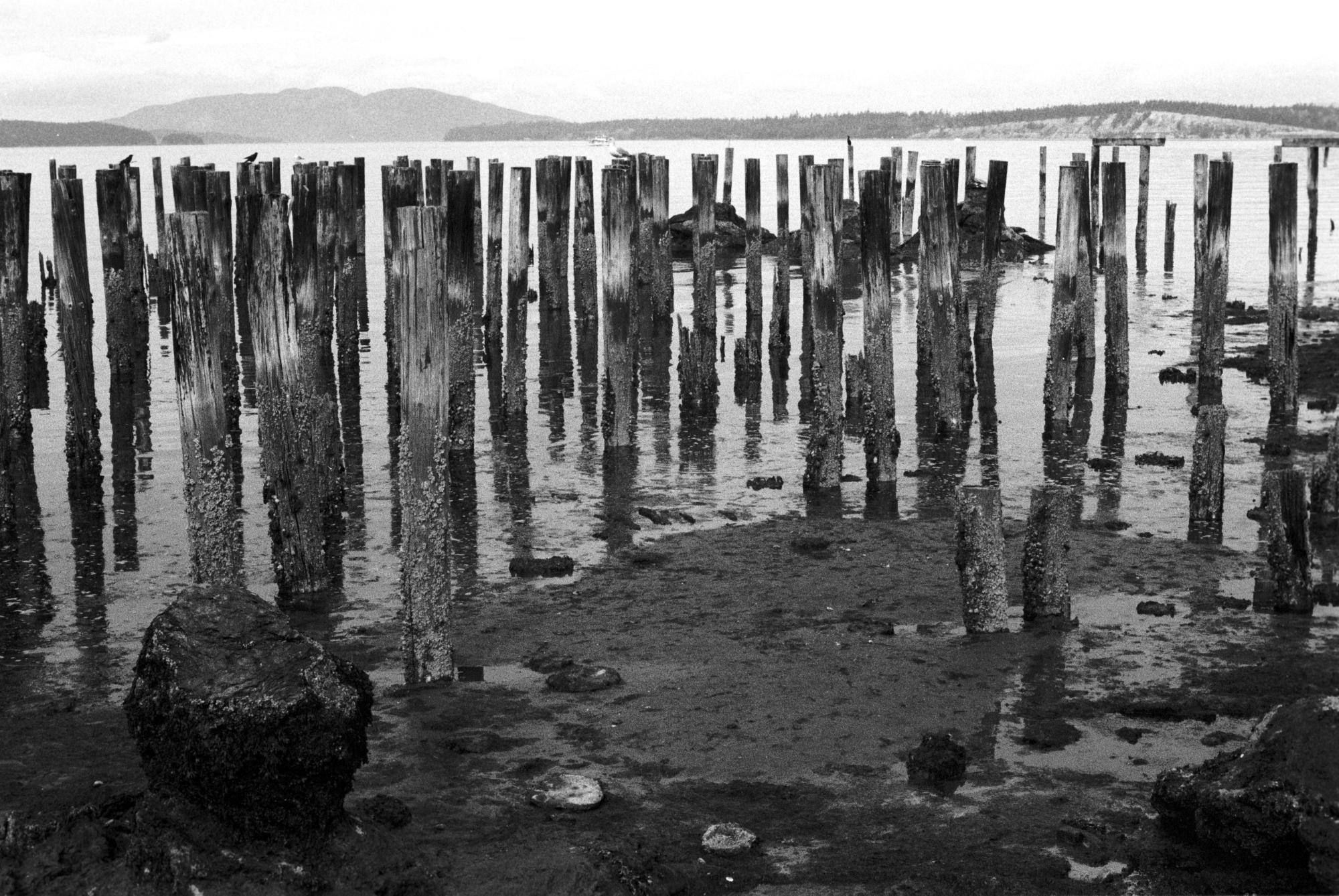 Washington State (Black & White) - Low Tide #3