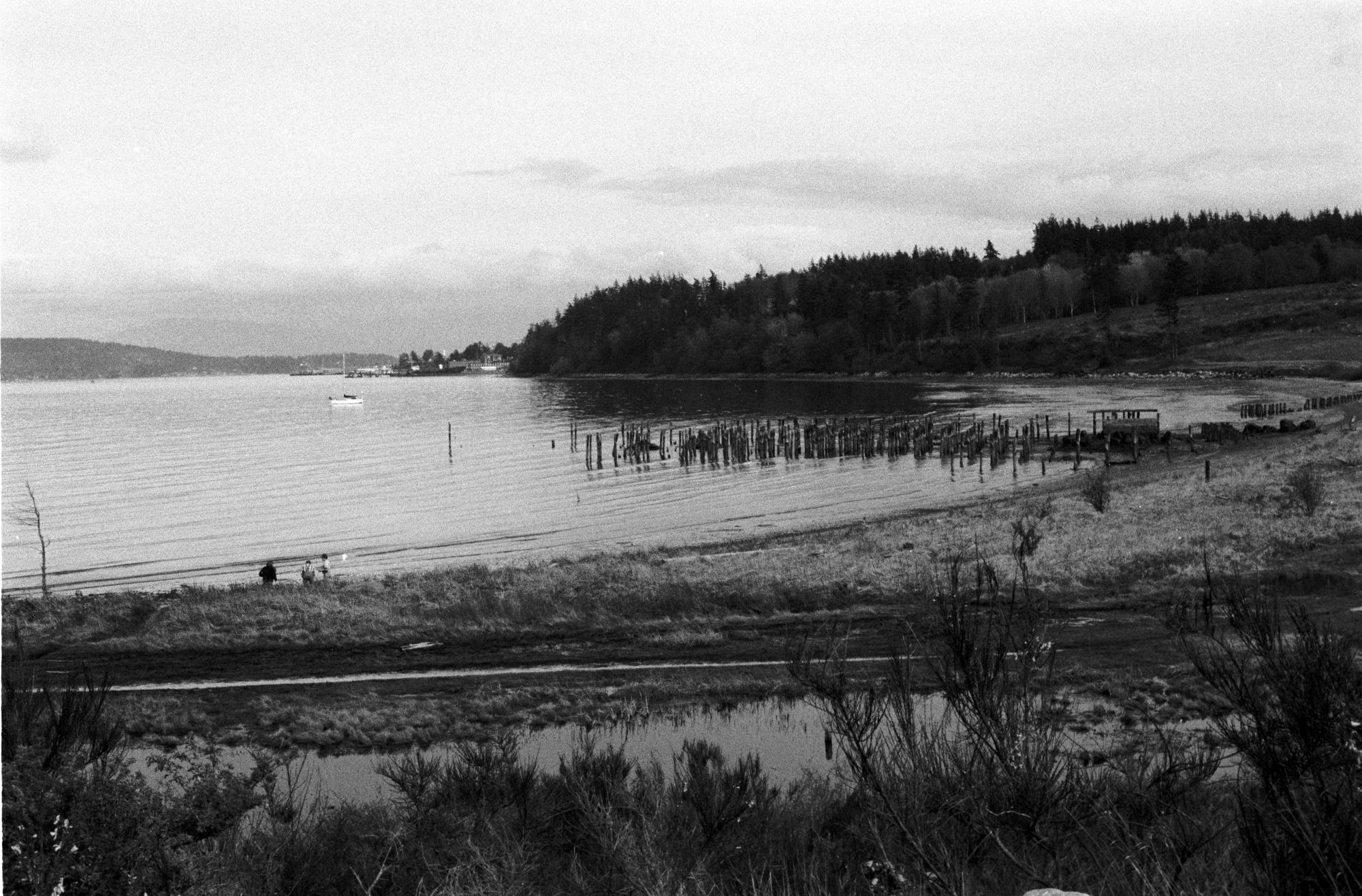 Washington State (Black & White) - Rising Tide