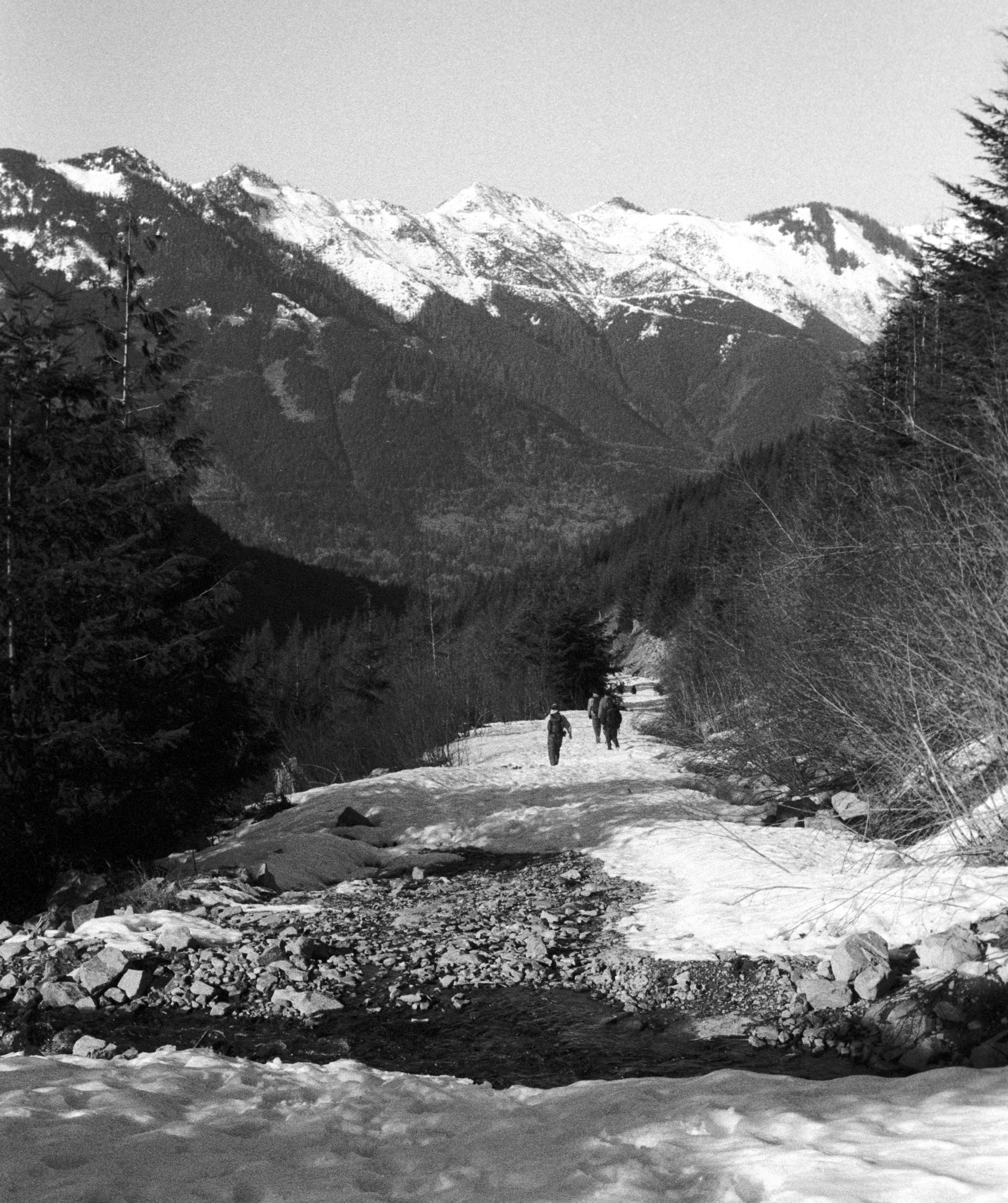 Washington State (Black & White) - Mountaineers #3