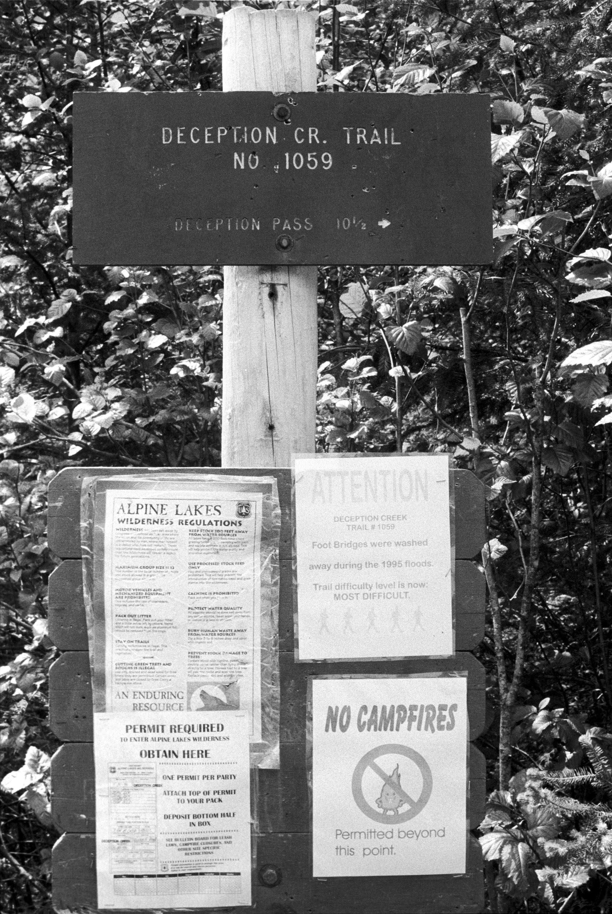 Washington State (Black & White) - Trail Head