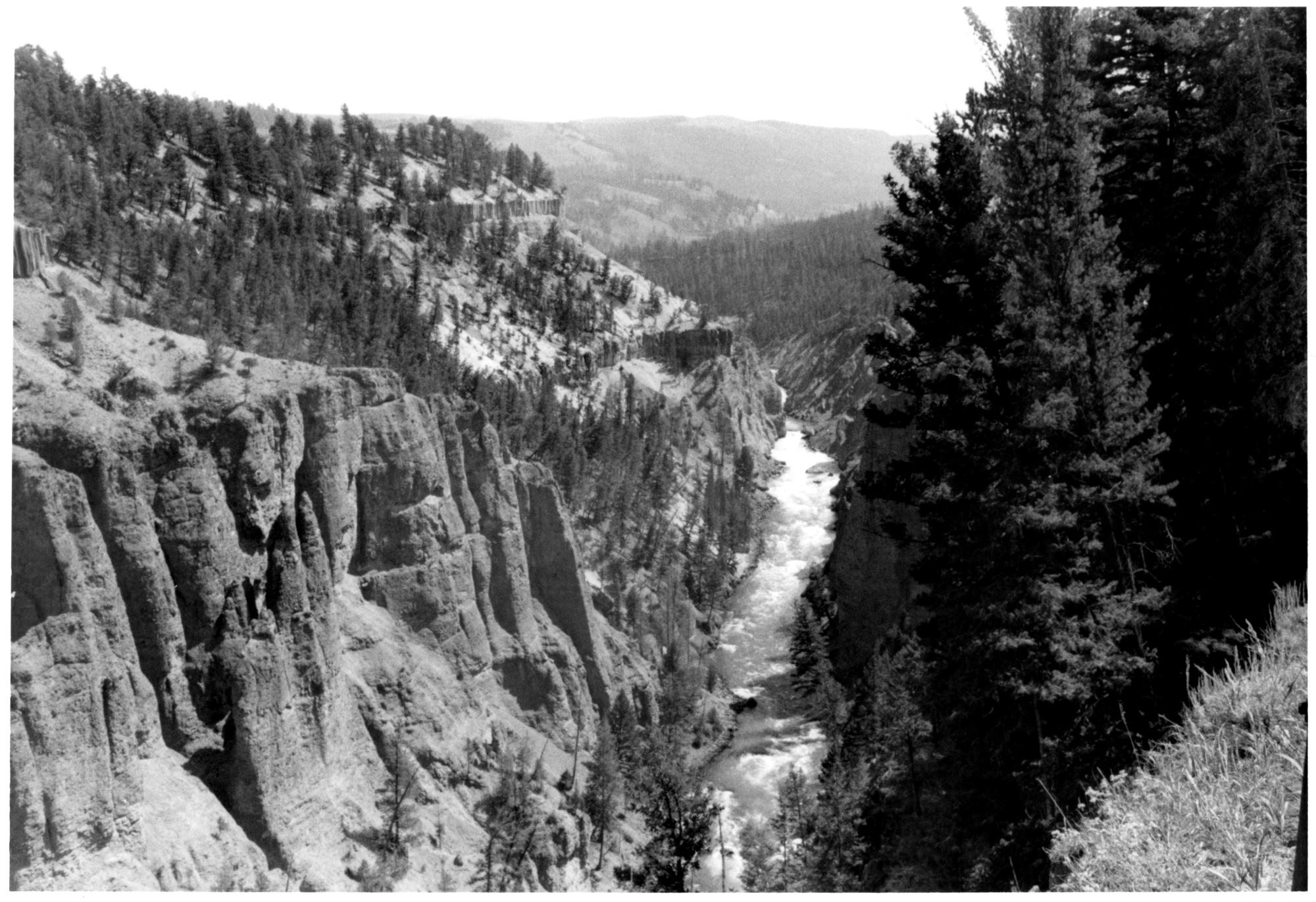 Western US (Black & White) - Yellowstone #2
