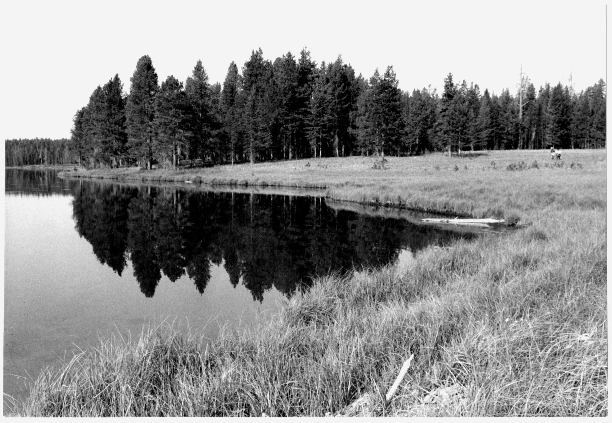 Western US (Black & White) - Yellowstone #5