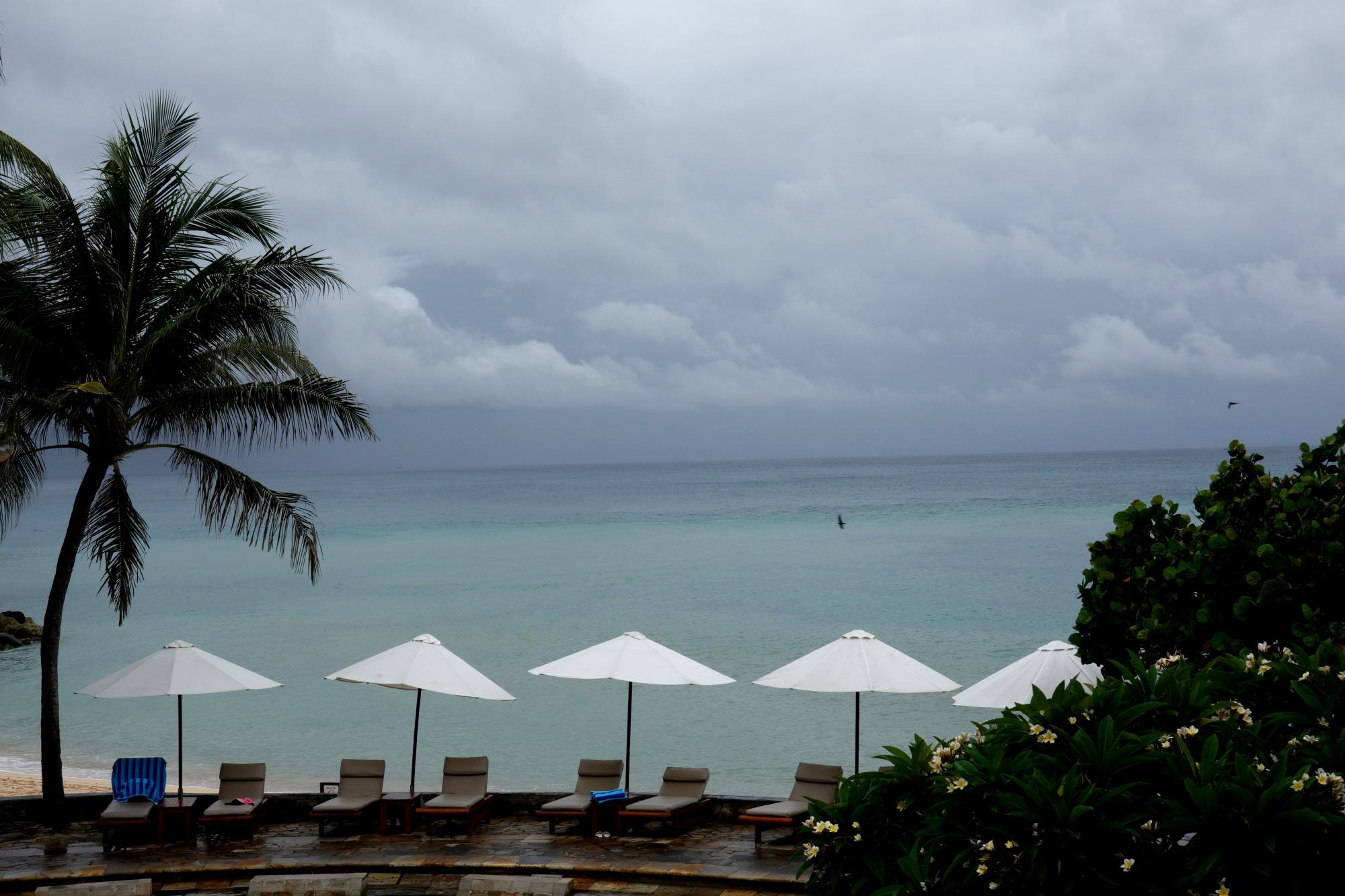 Bali - Rainy Season #1