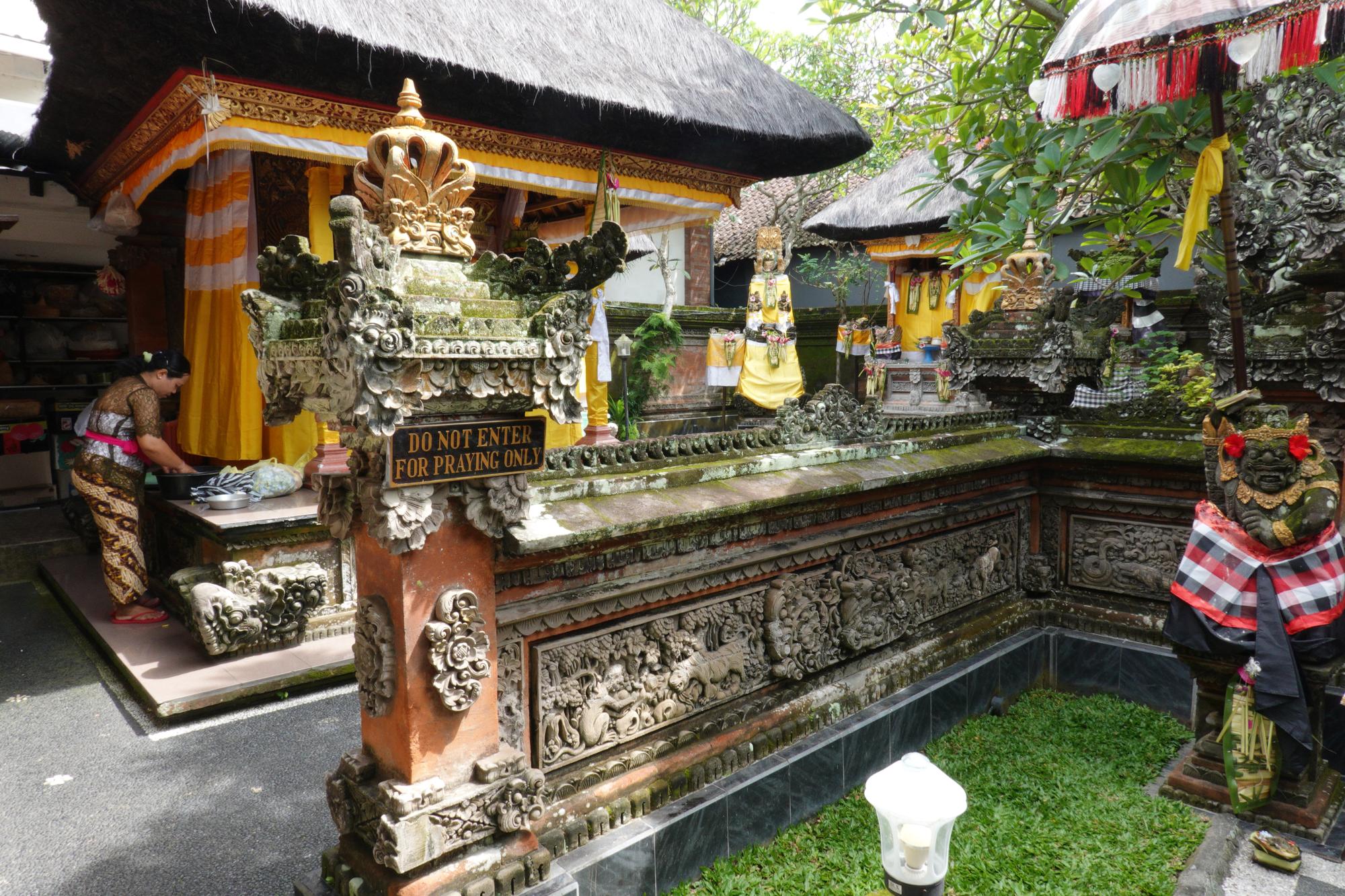 Bali - Dewa Putu Toris Gallery #2