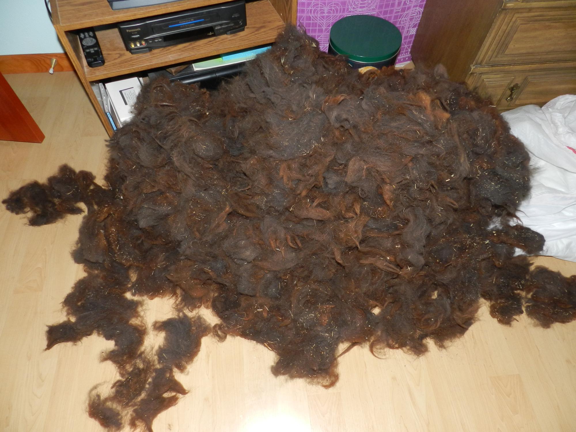 Barbaras Crafts - Fresh Wool