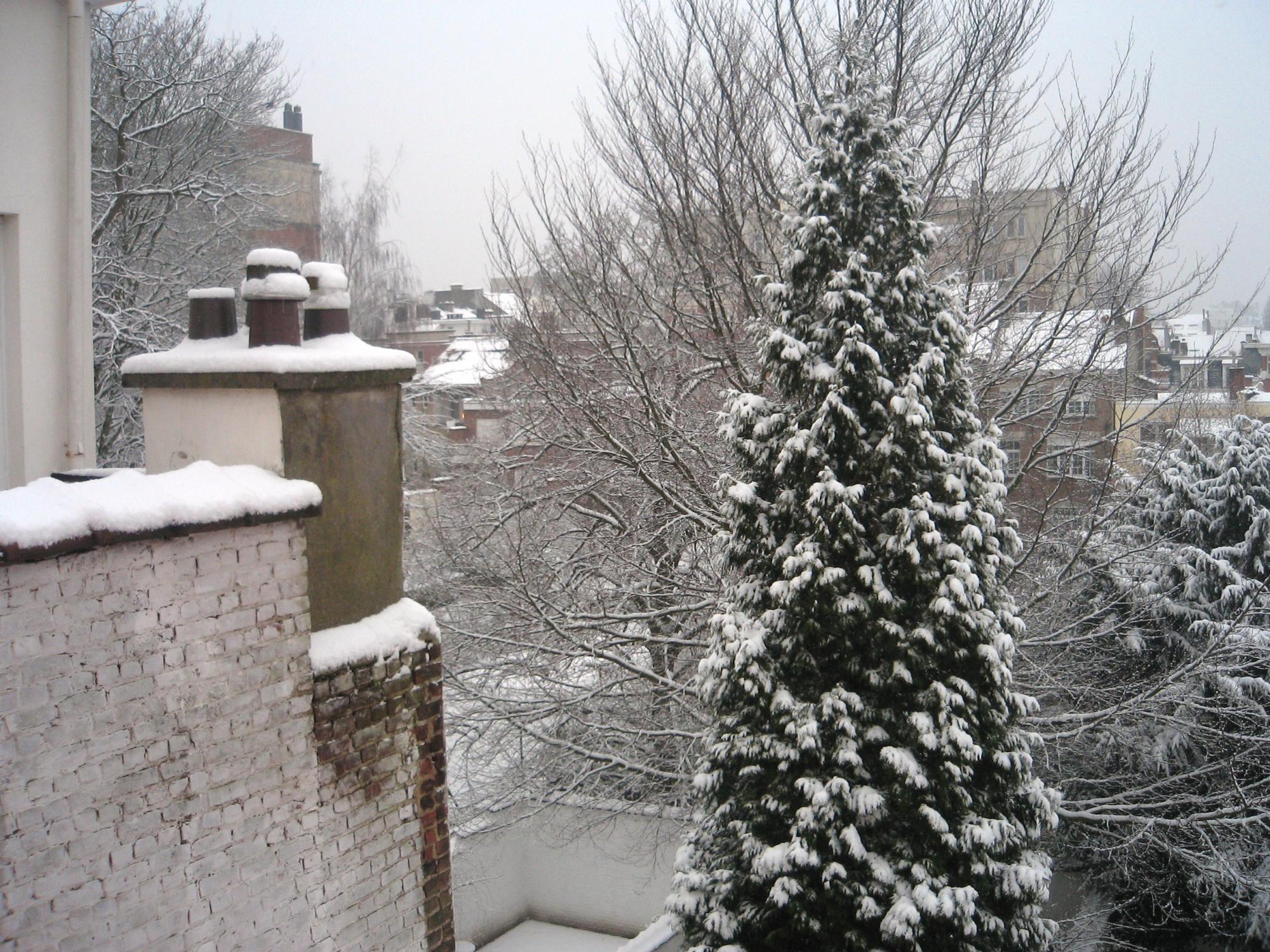 Brussels (2008-2009) - Snowy Backyard View #1