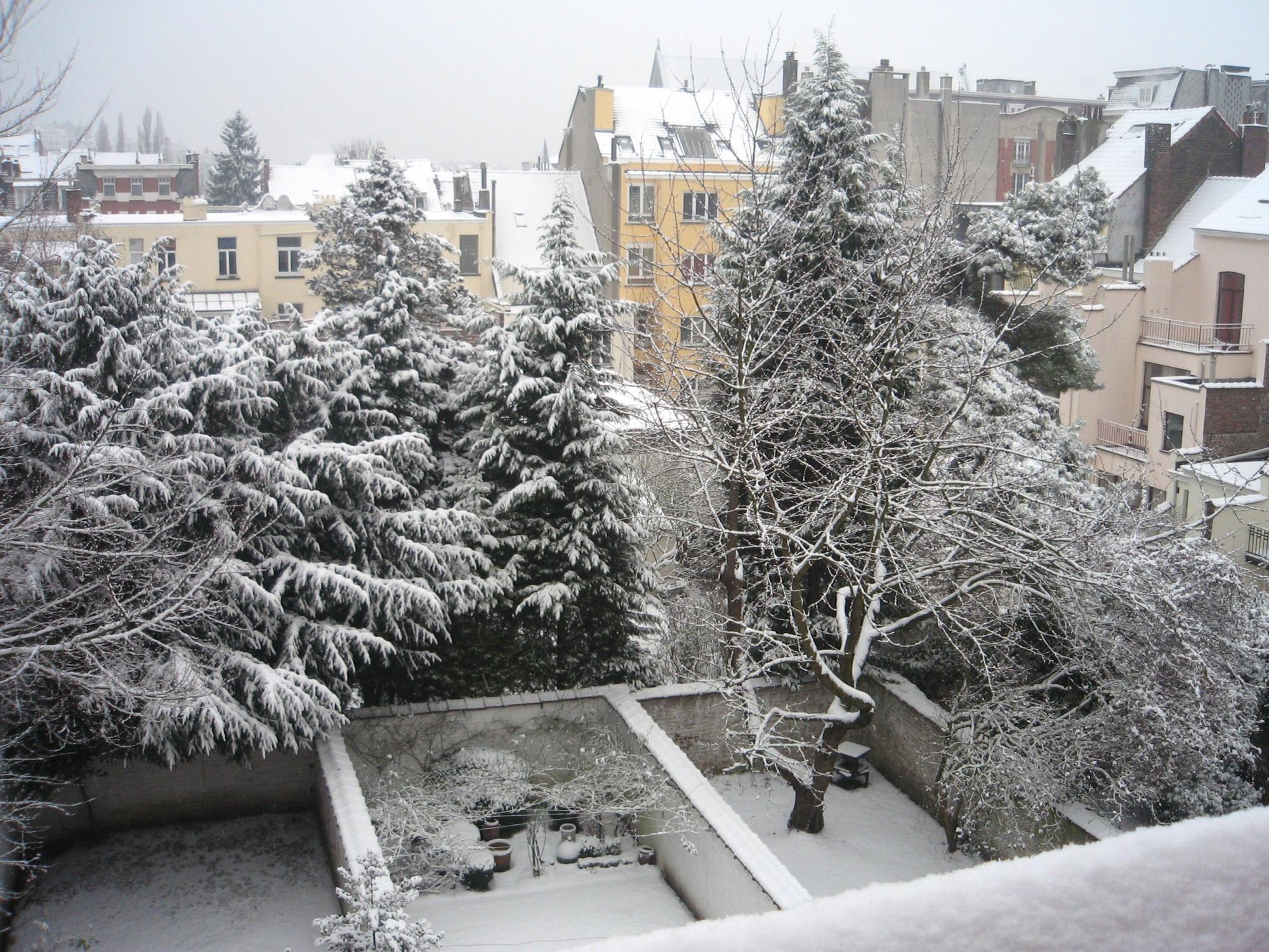 Brussels (2008-2009) - Snowy Backyard View #1