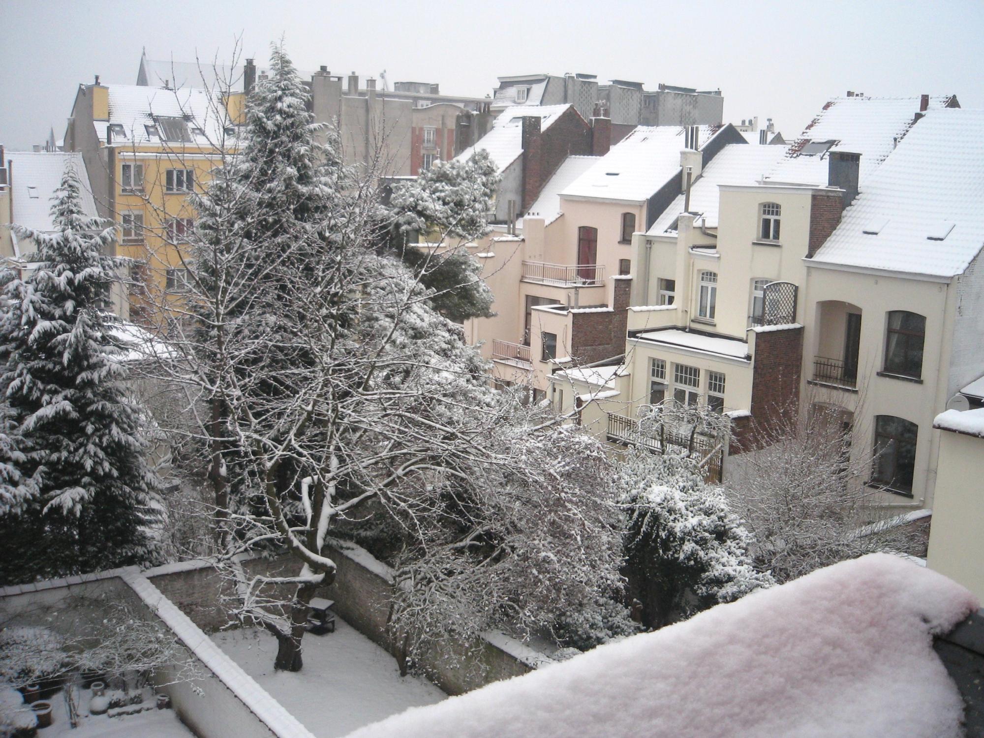 Brussels (2008-2009) - Snowy Backyard View #2