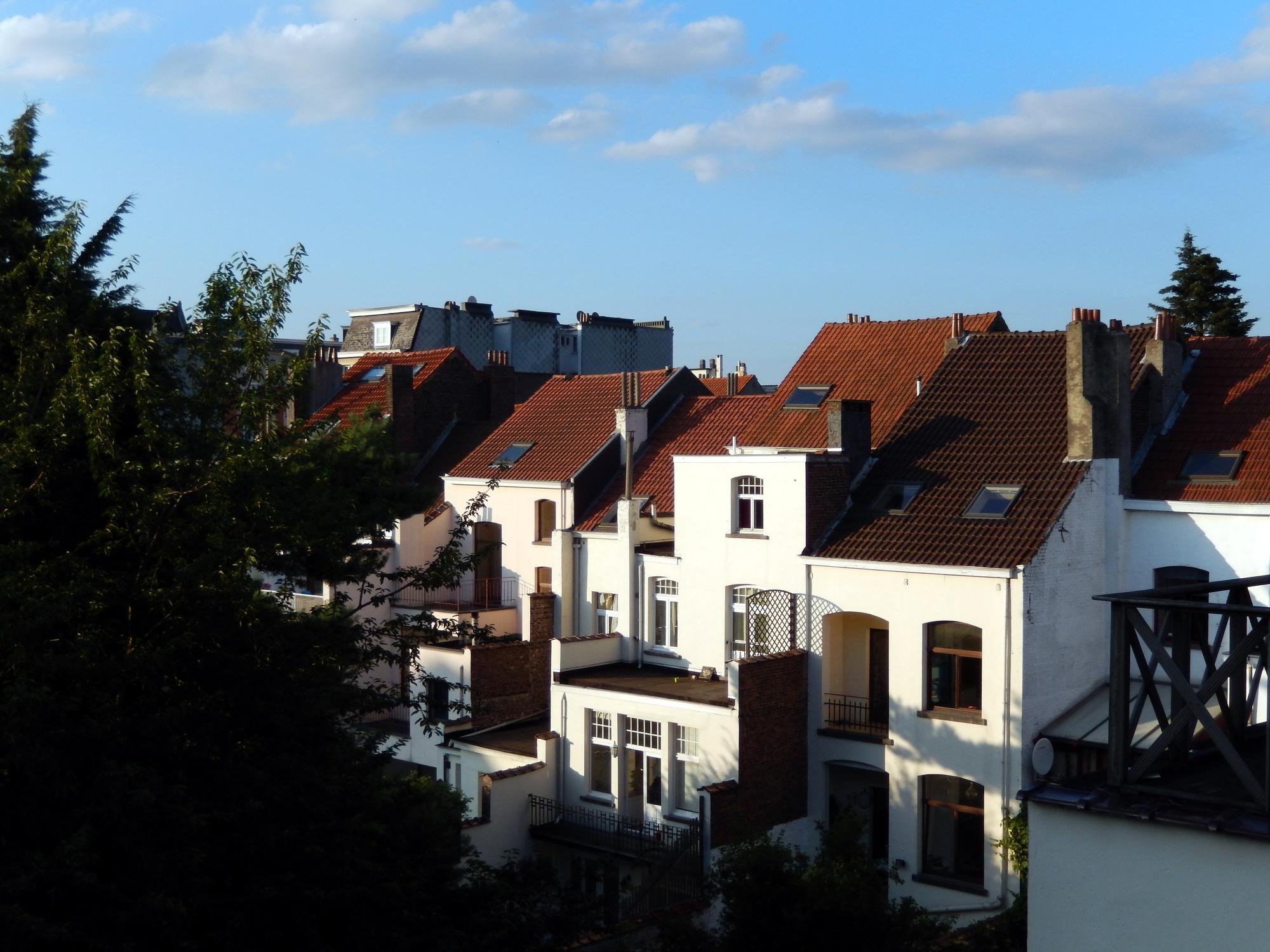 Brussels (2010-2016) - Backview