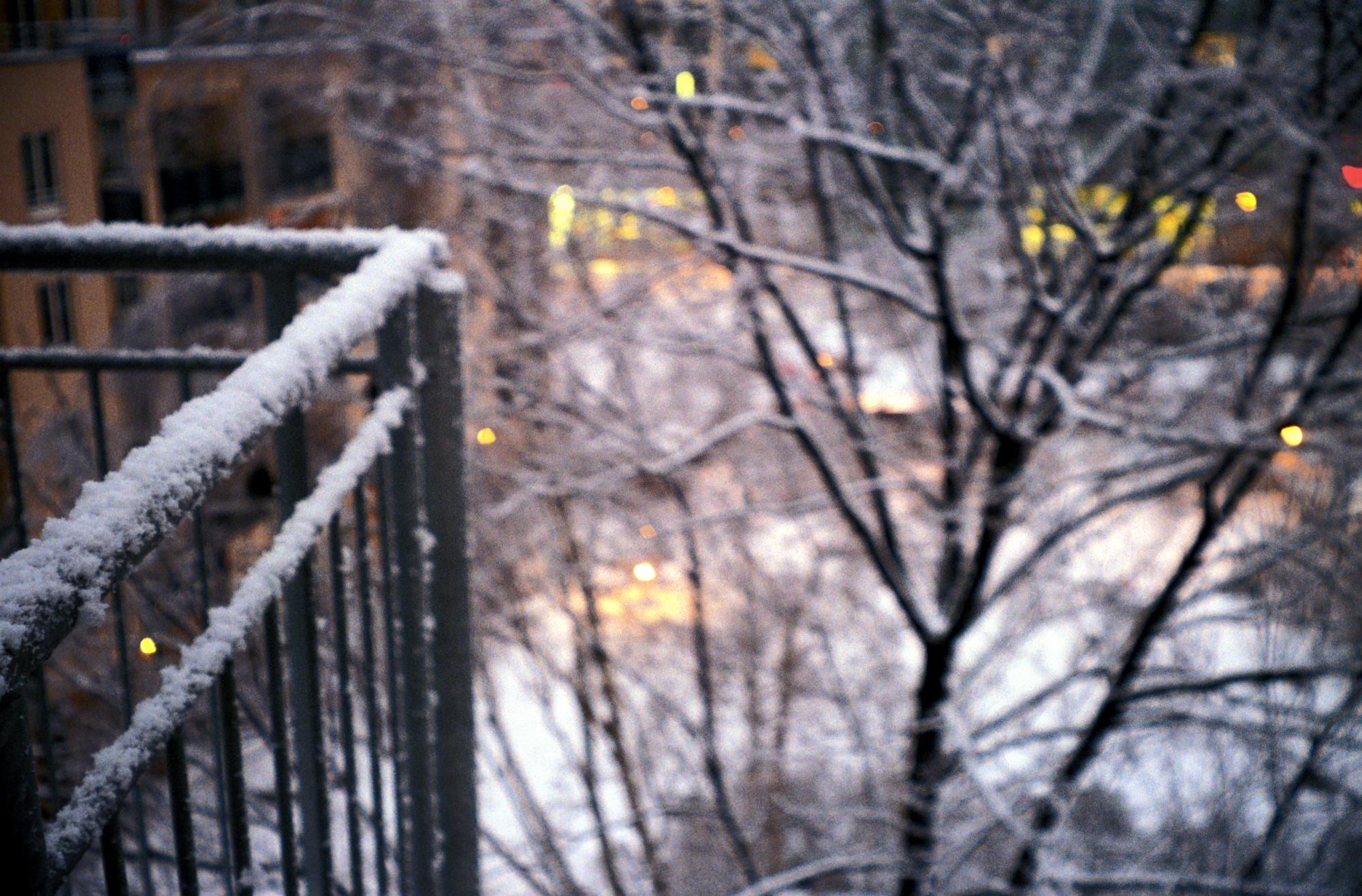 Dresden (2001) - Fresh Snow #2