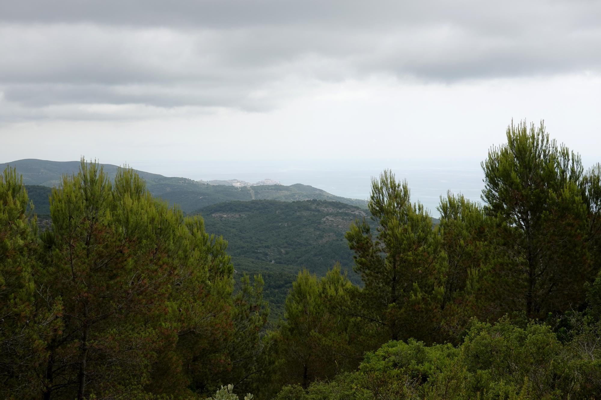 Serra d'Irta - Trail 39 Facing North