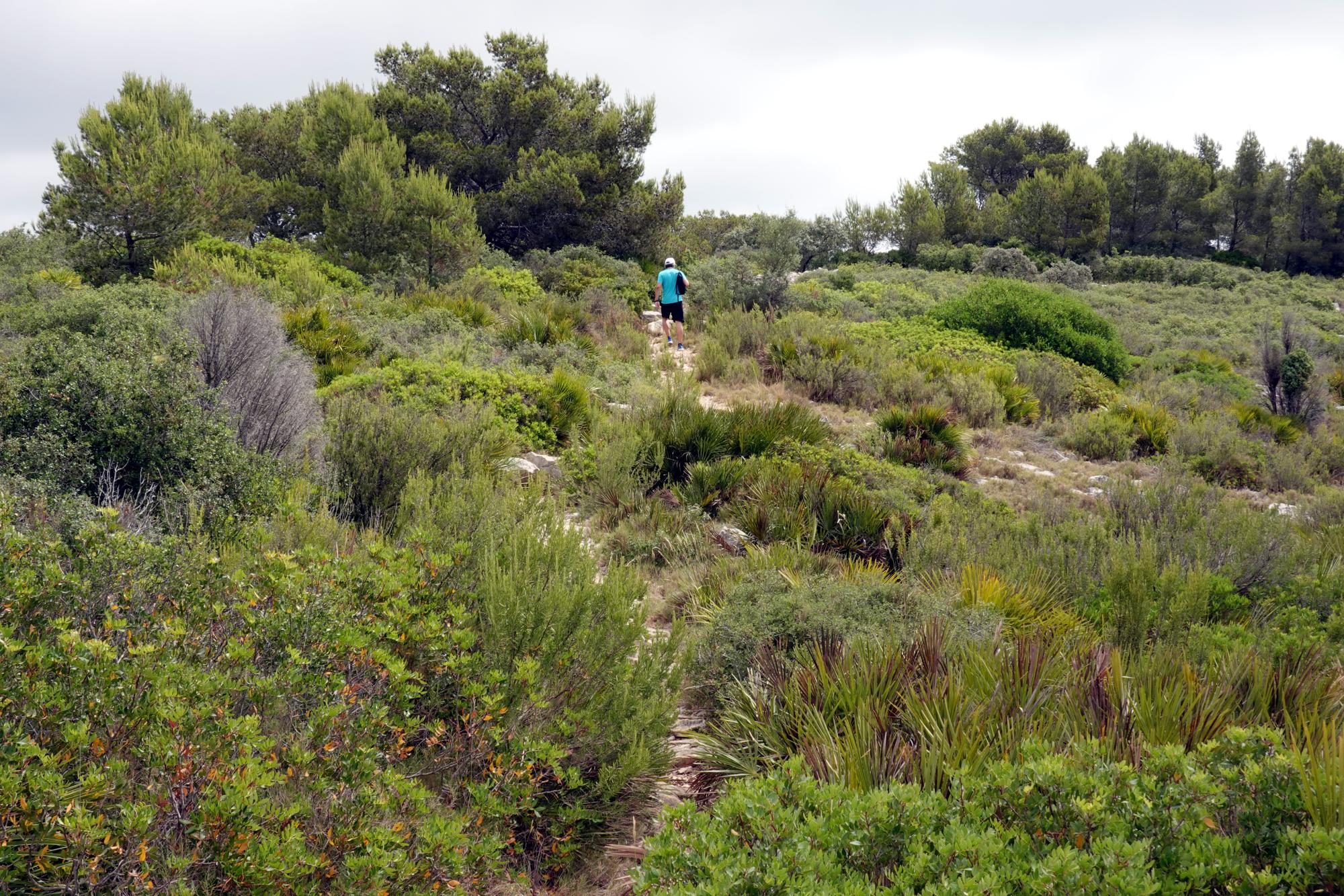 Serra d'Irta - Trail 41
