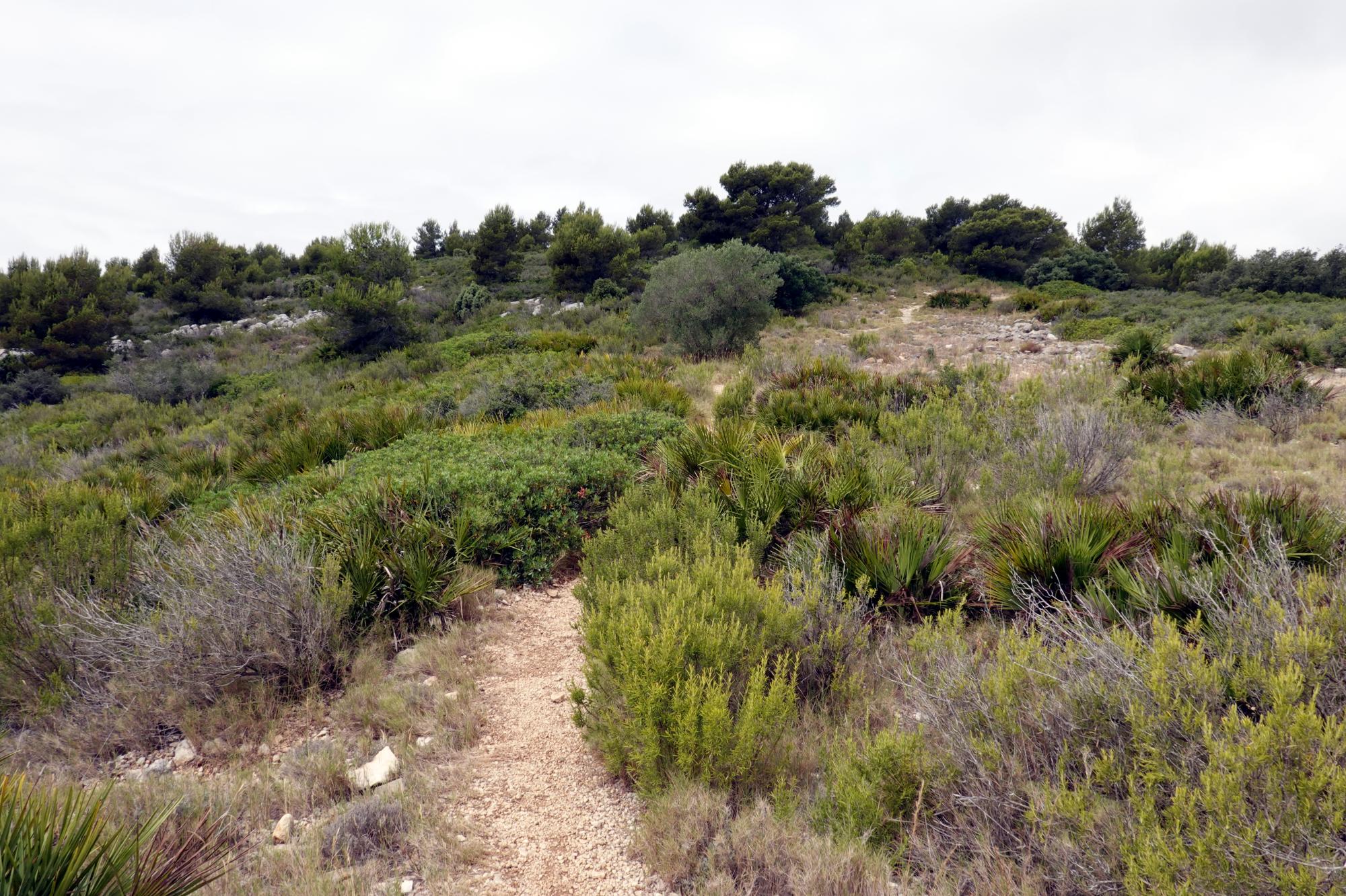 Serra d'Irta - Trail 42