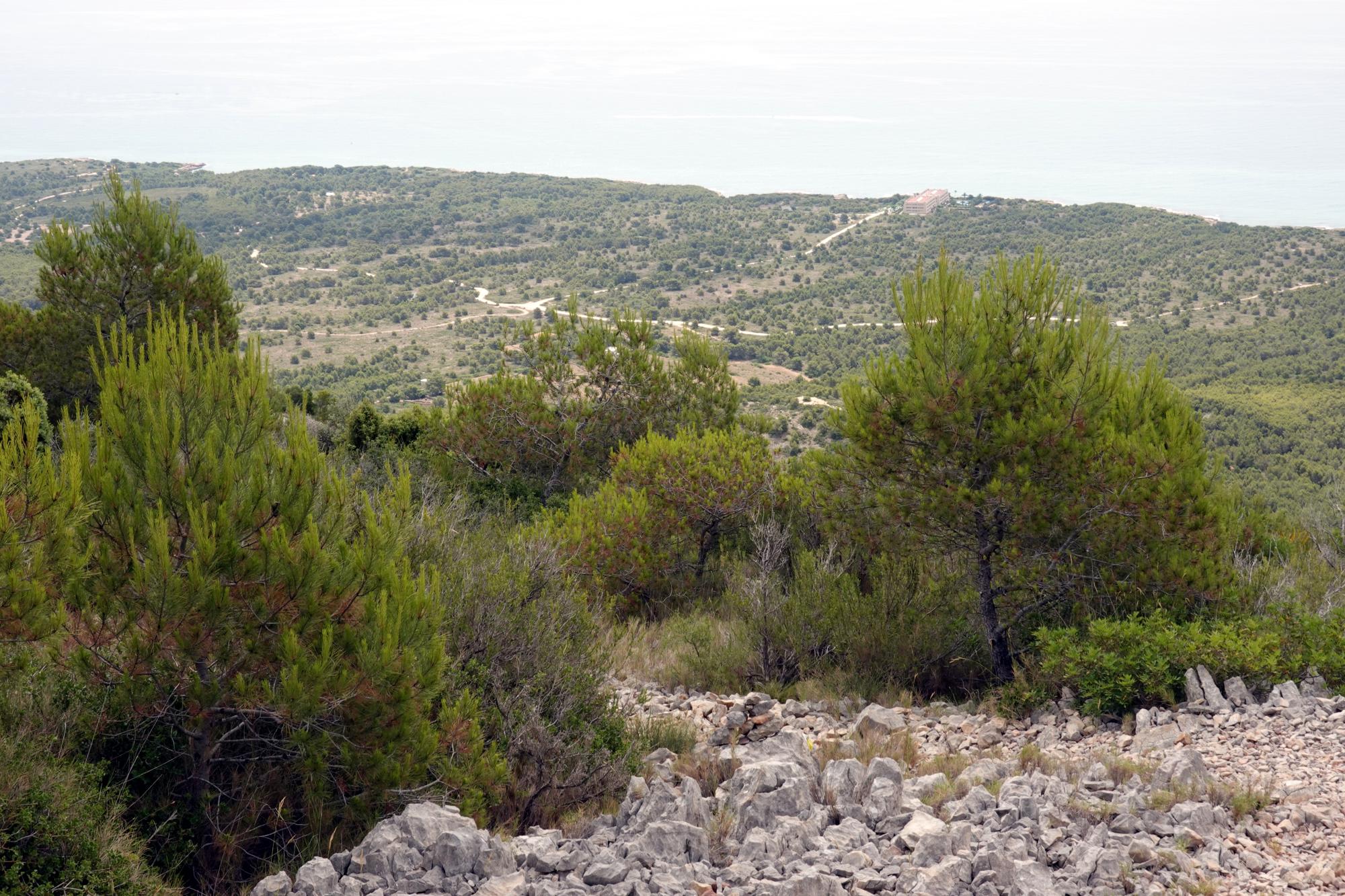 Serra d'Irta - Trail 47