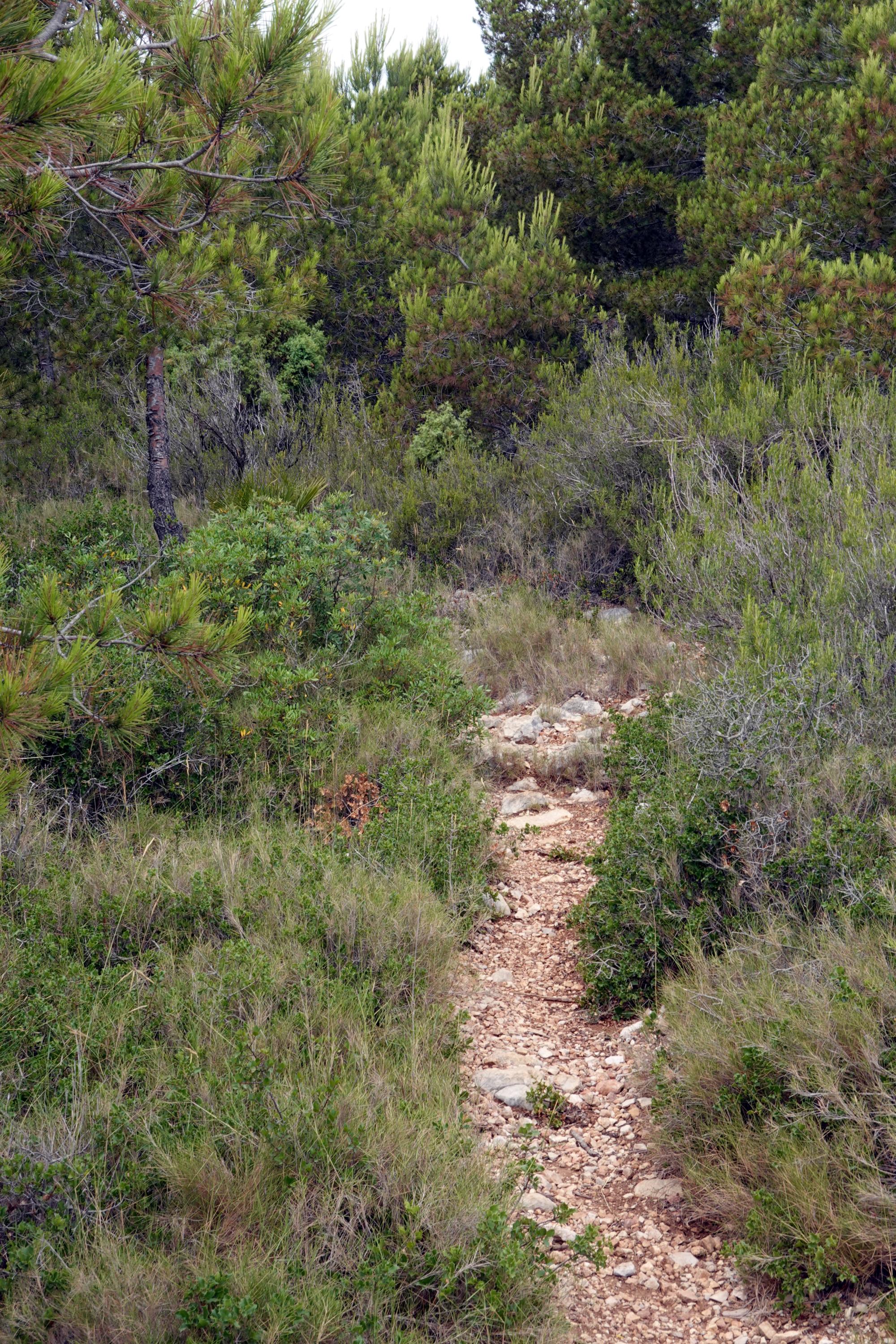 Serra d'Irta - Trail 48