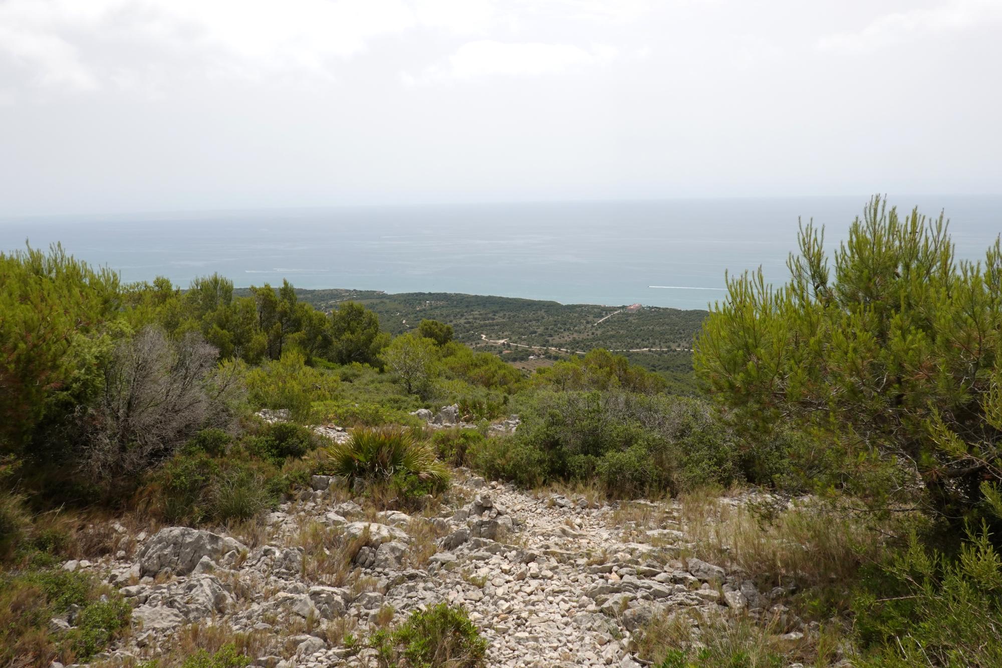 Serra d'Irta - Trail 55