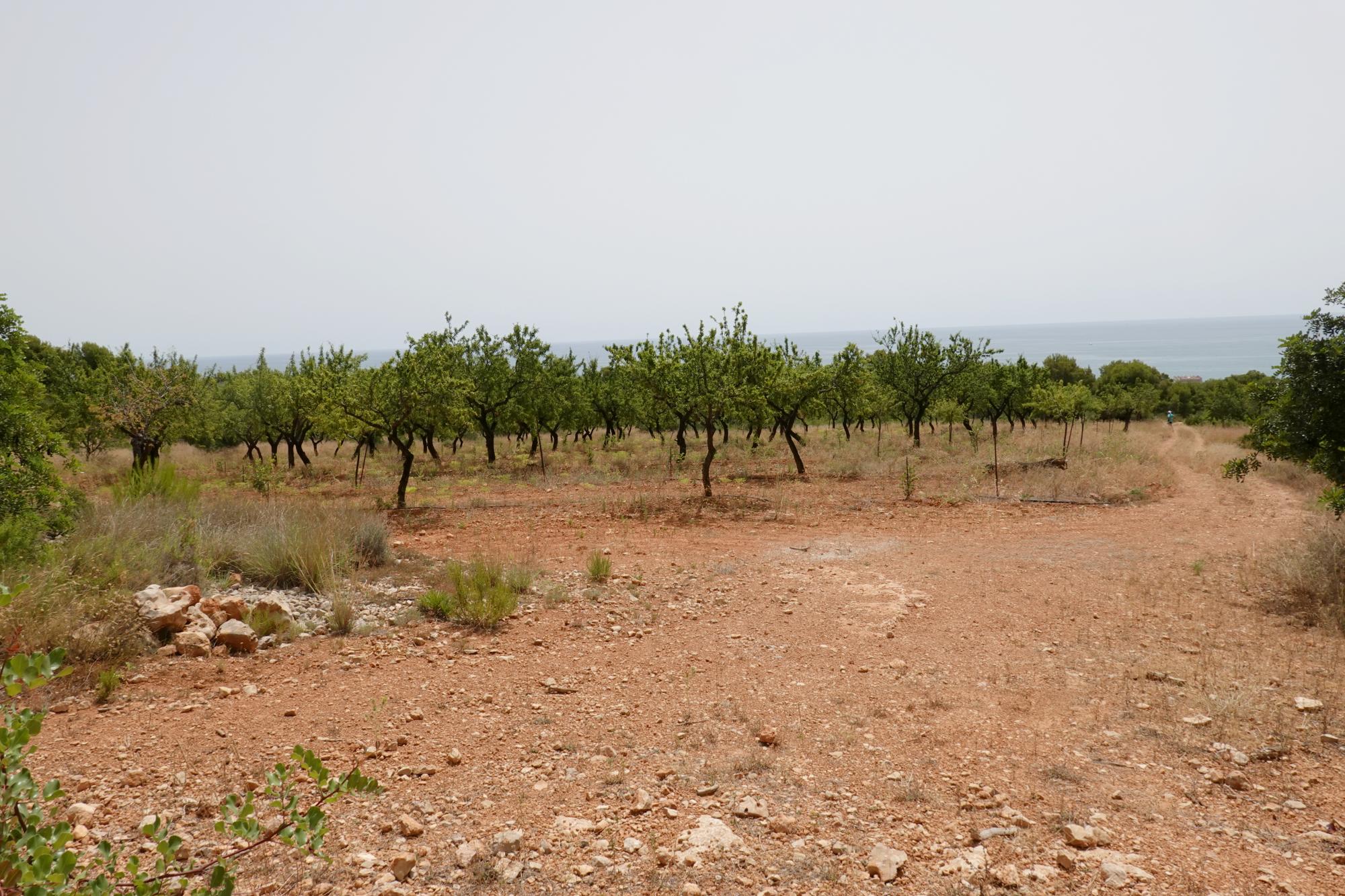 Serra d'Irta - Trail 58