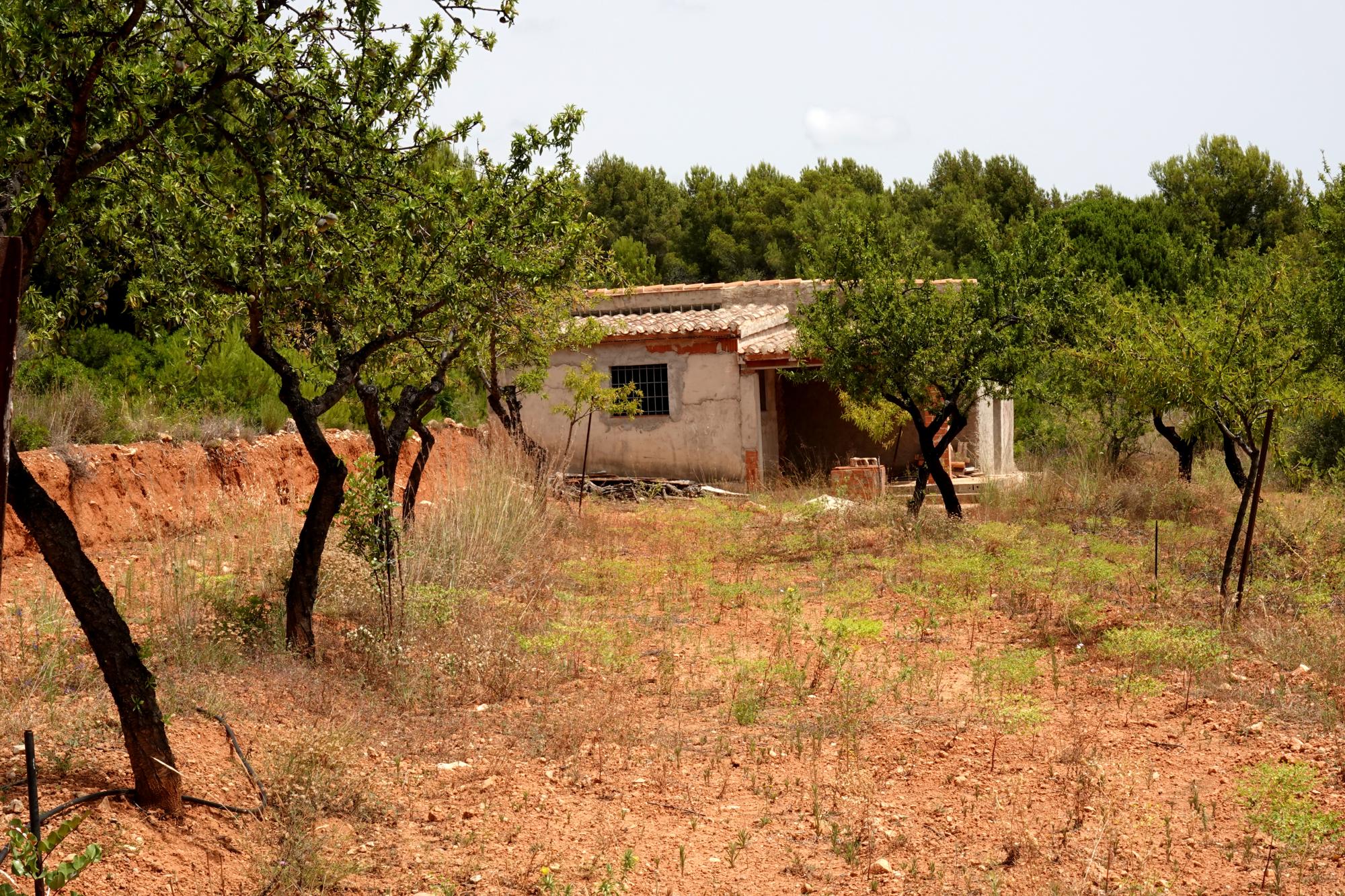 Serra d'Irta - Trail 59
