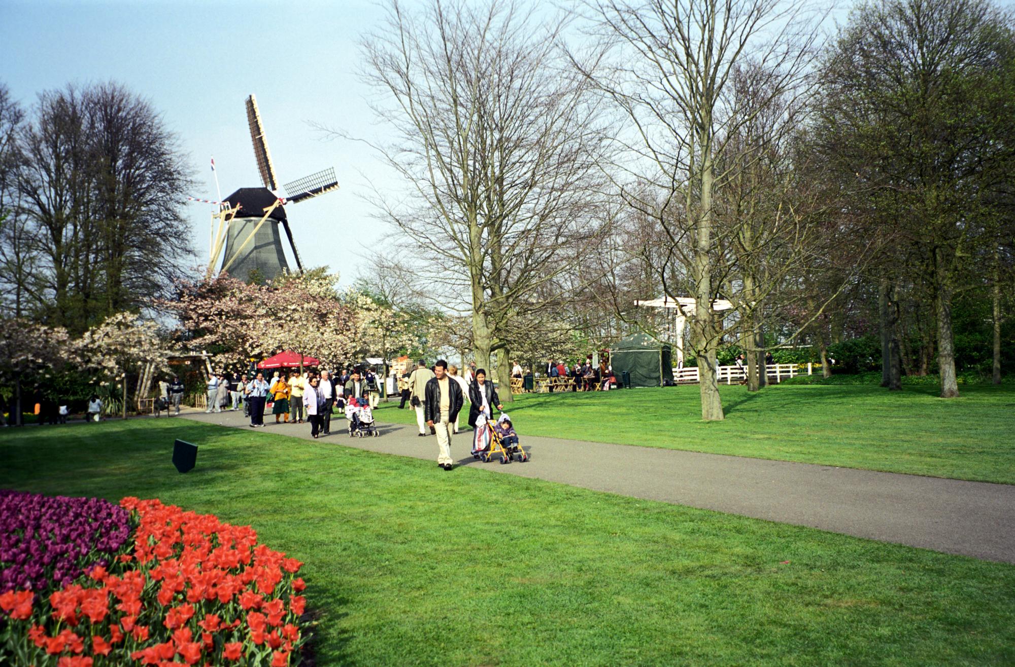 The Netherlands - Keukenhof Gardens #4
