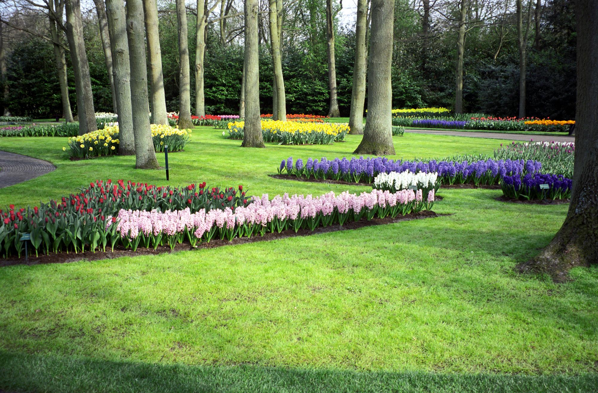 The Netherlands - Keukenhof Gardens #5