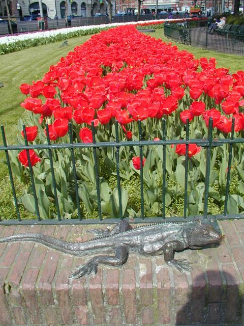 The Netherlands - Lizard Sculpture
