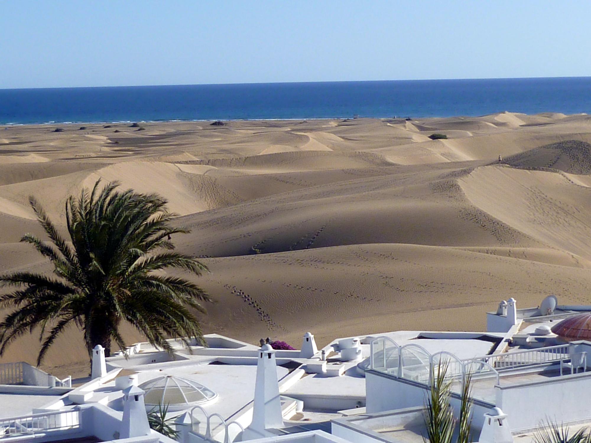  Canary Islands - Dunes #1