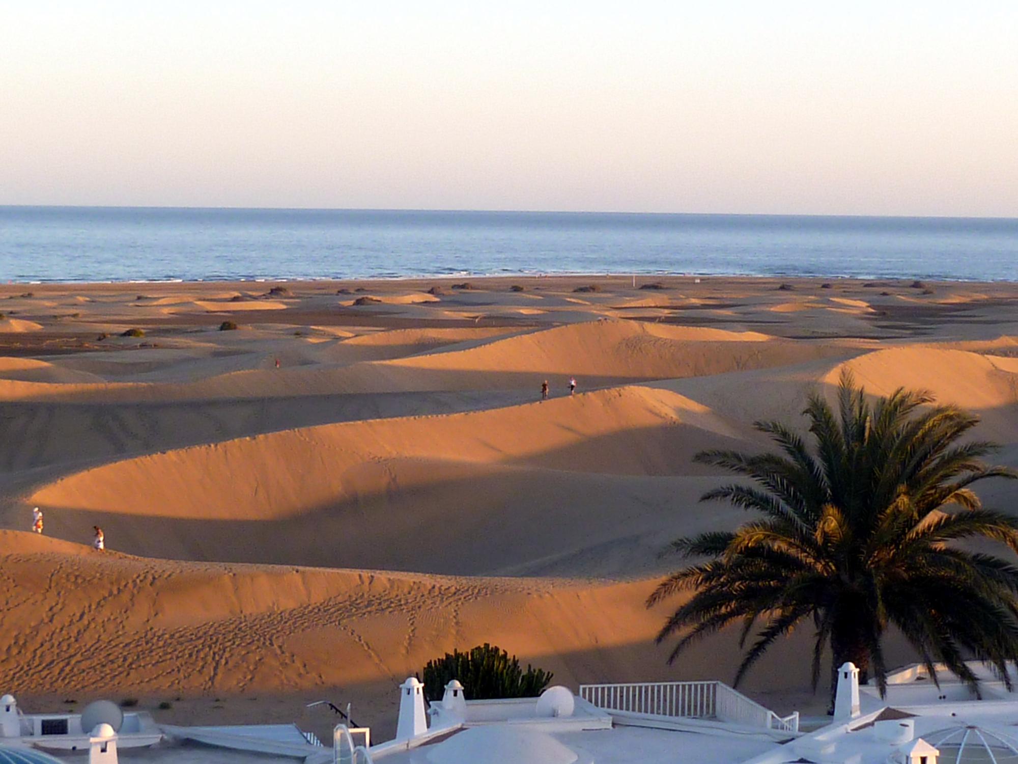  Canary Islands - Dunes #3