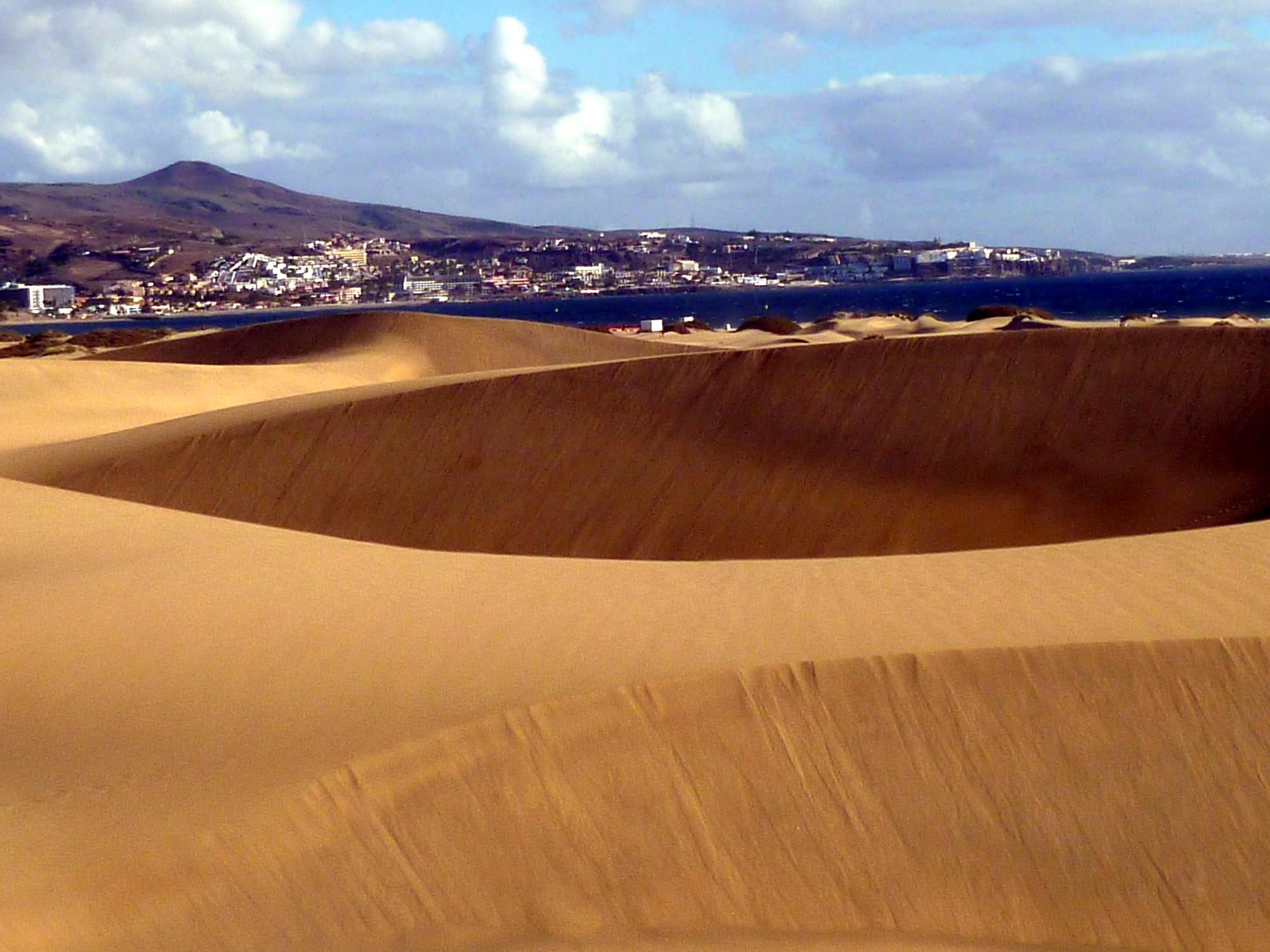  Canary Islands - Dunes #4