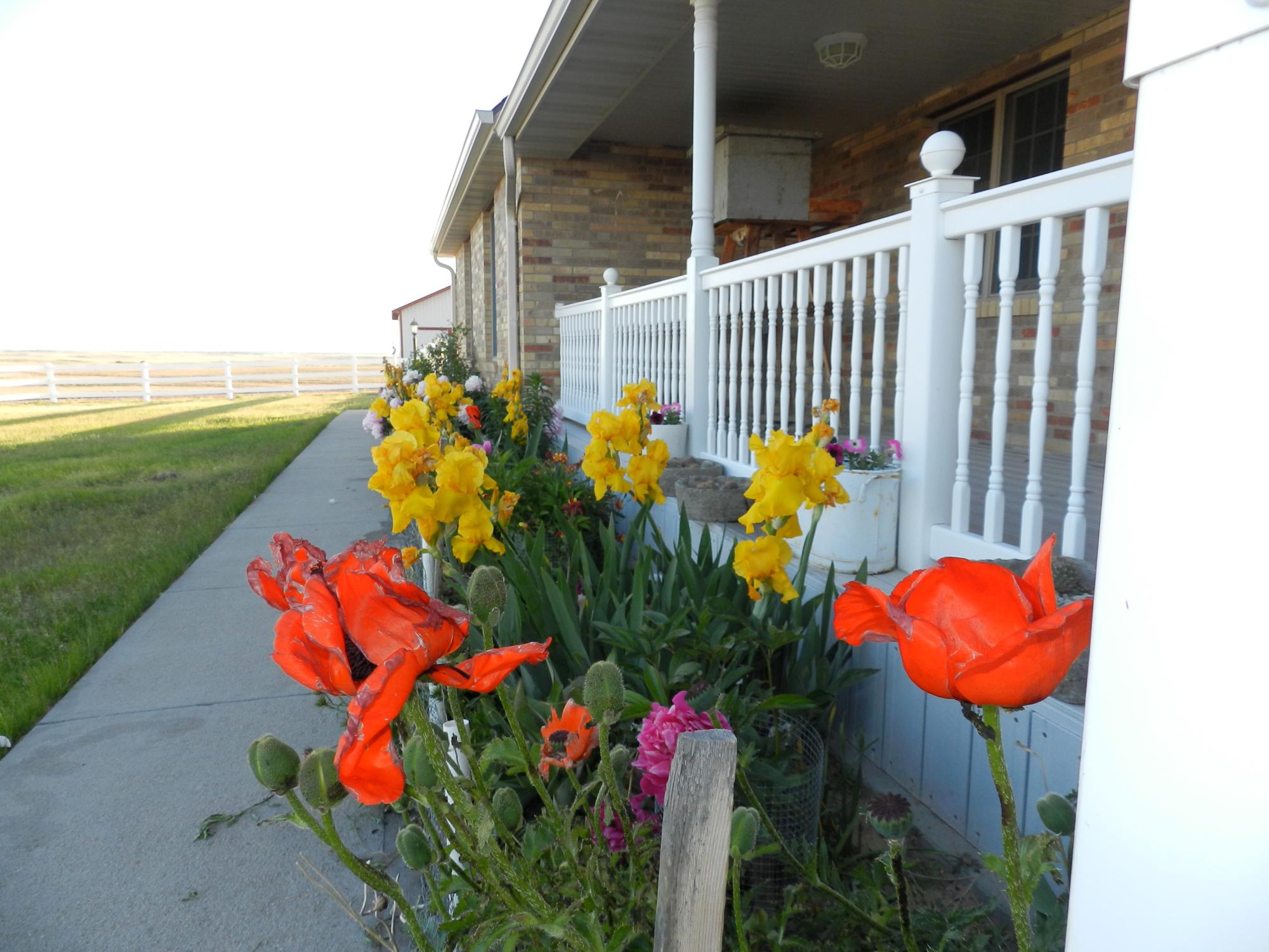 Flowers - Flowerbed #1