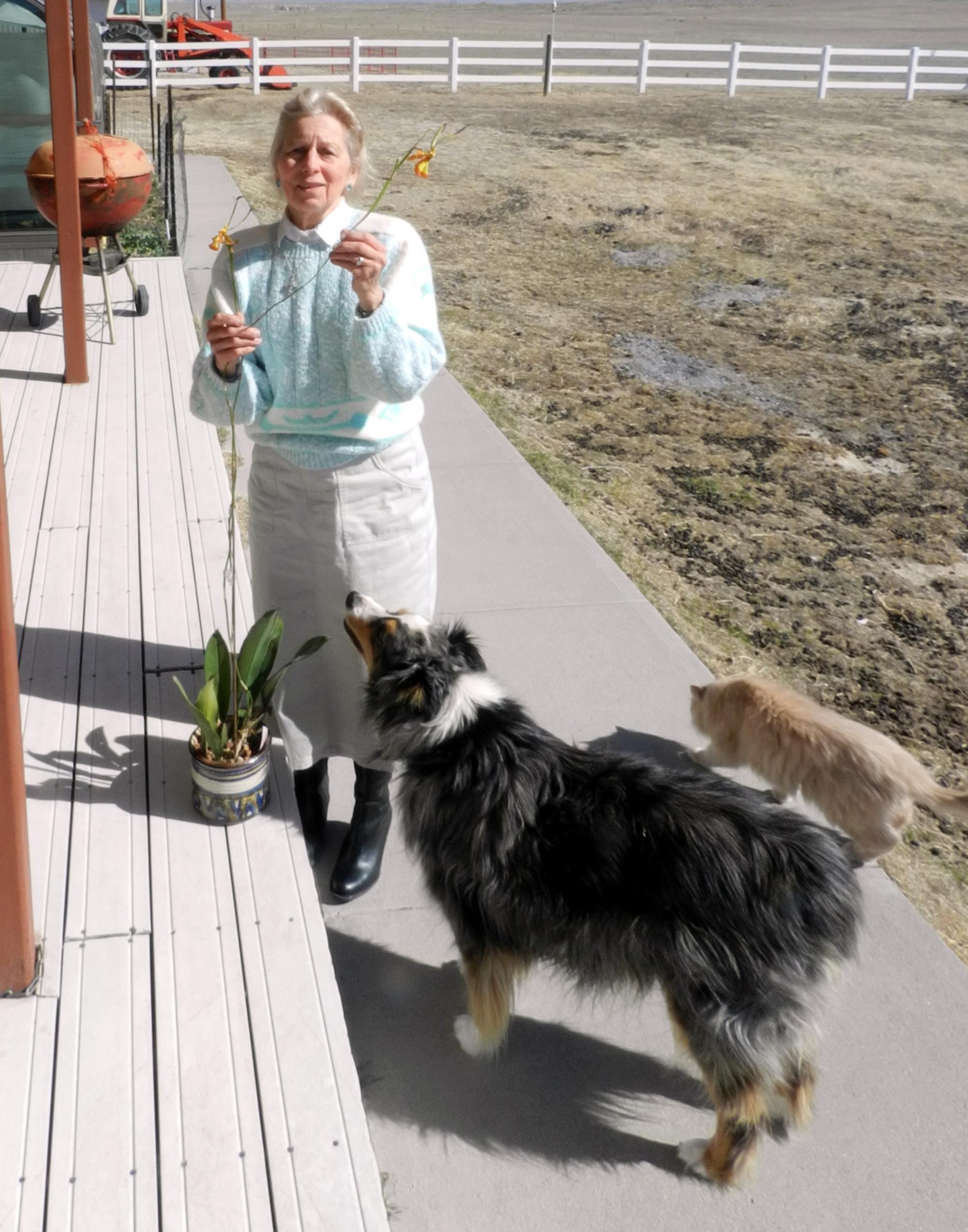 Flowers - Easter Sunday