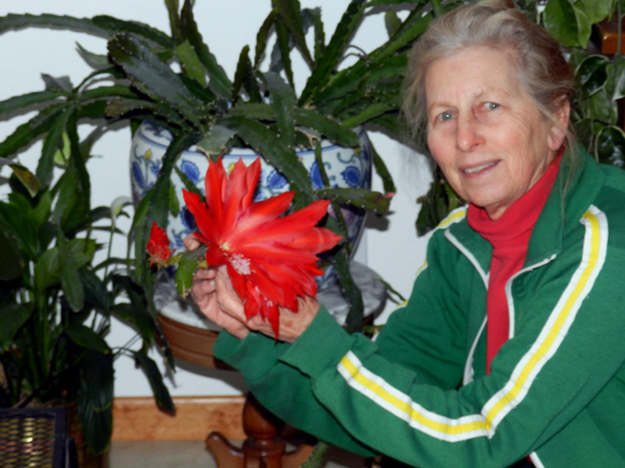 Flowers - Barb With Flower