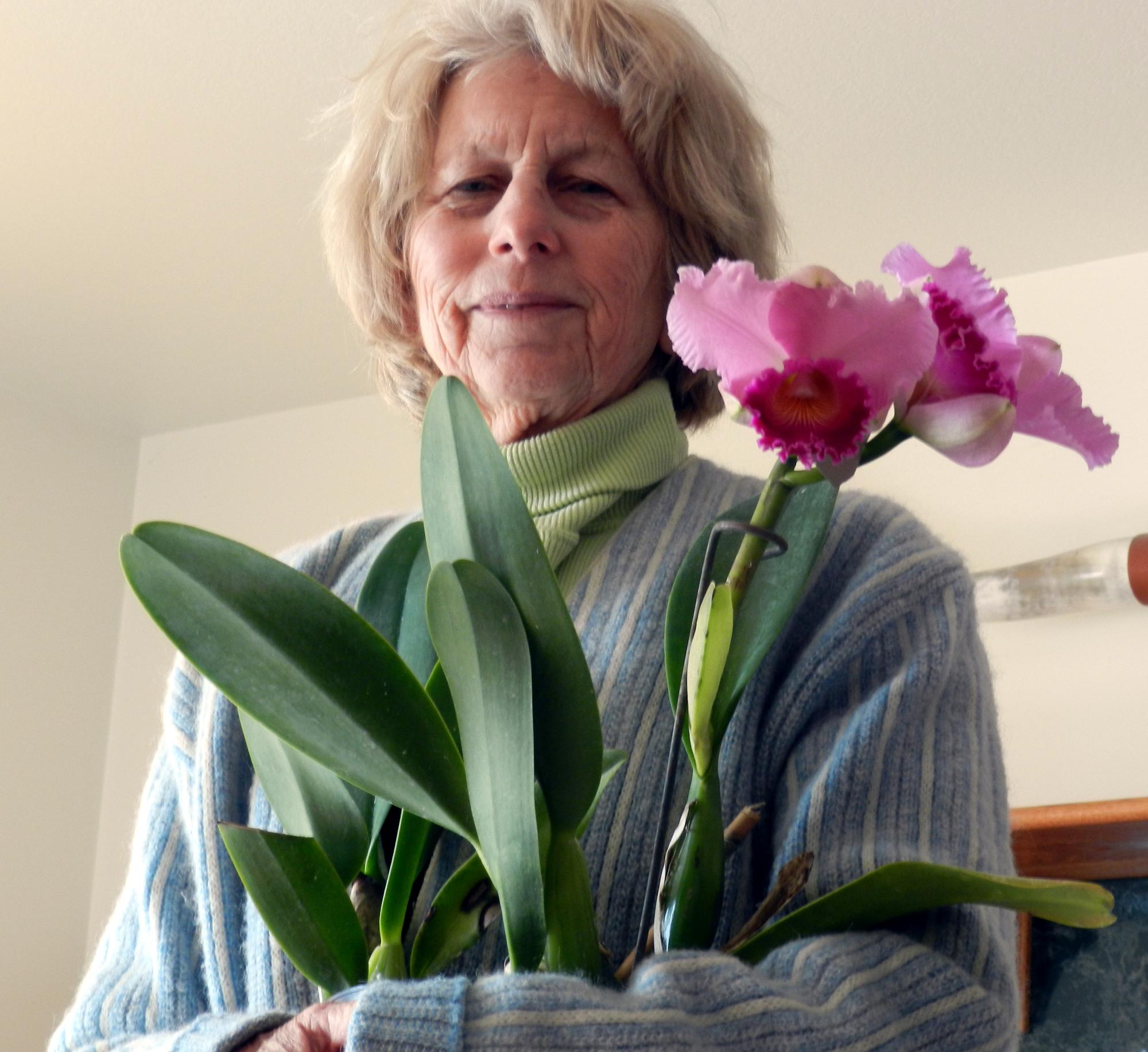 Flowers - Barb Wtih Orchids