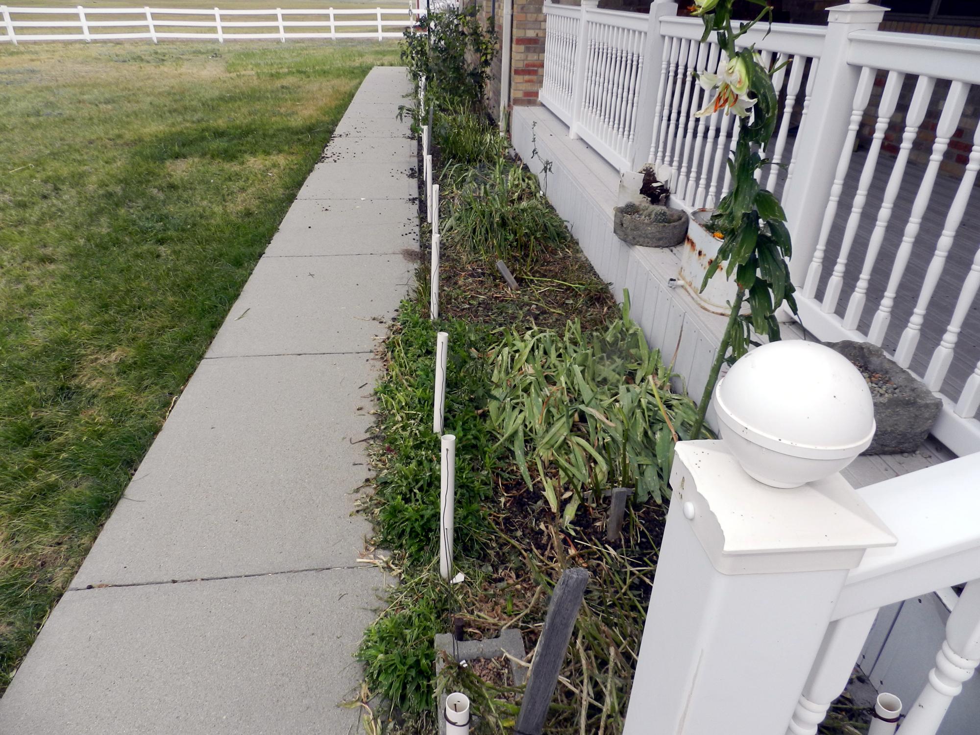 Flowers - Storm Destruction