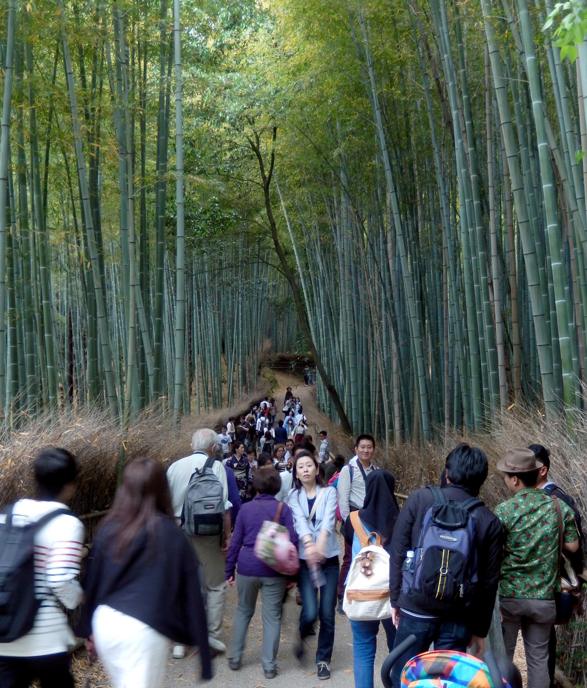 Kyoto Area - Bamboo Path #2