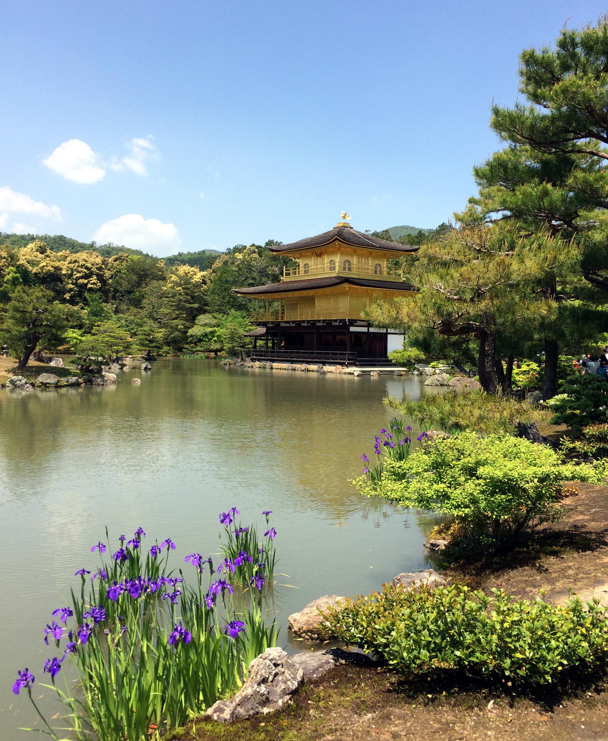 Kyoto Area - Golden Temple #2