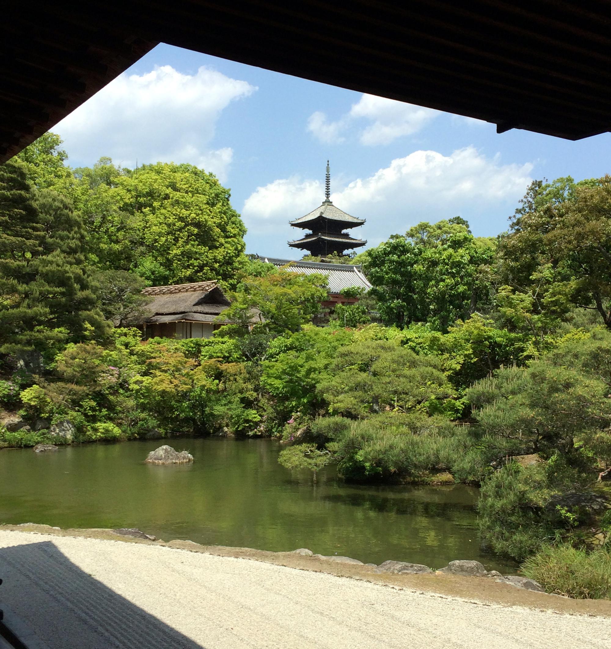 Kyoto Area - Golden Temple #4