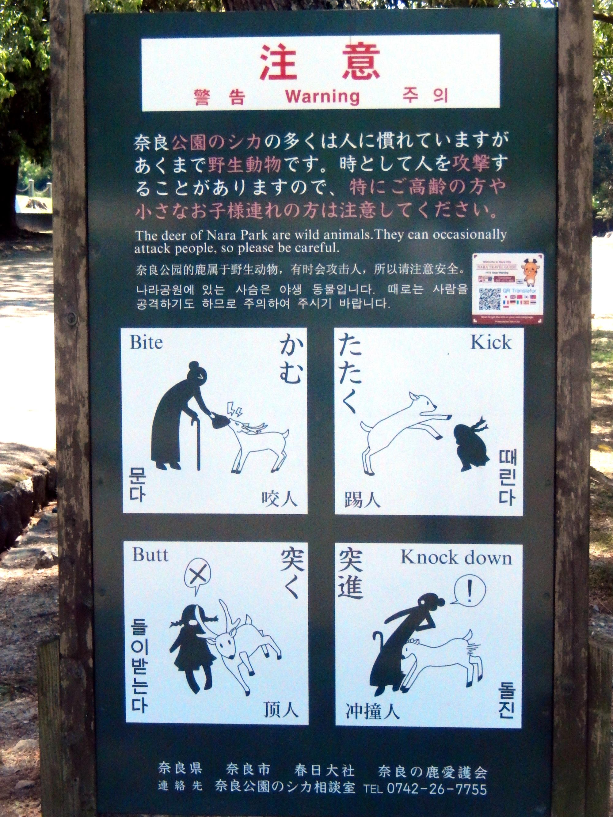 Kyoto Area - Nara Park Deer Advisory
