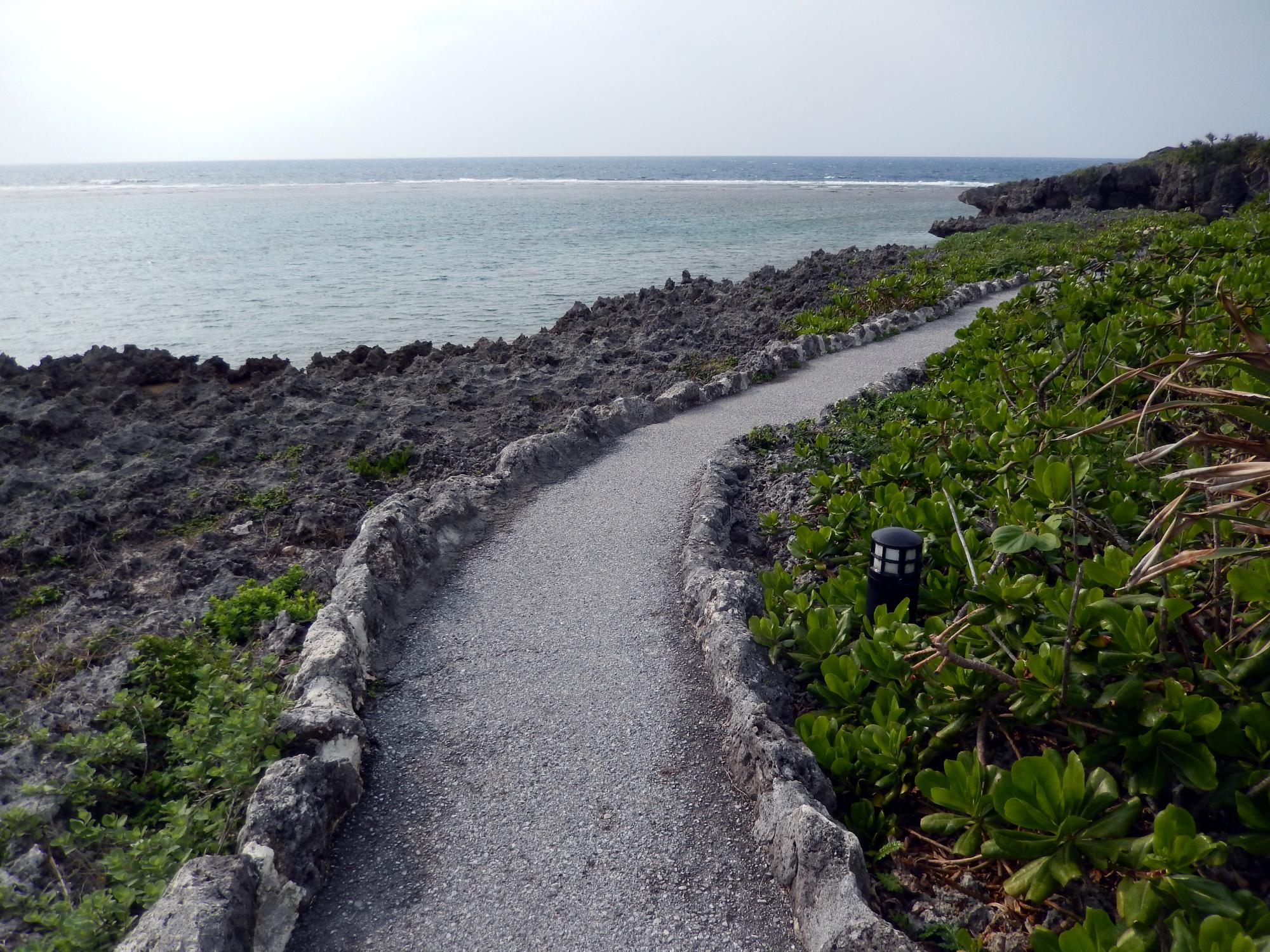 Okinawa - Volcanic Path