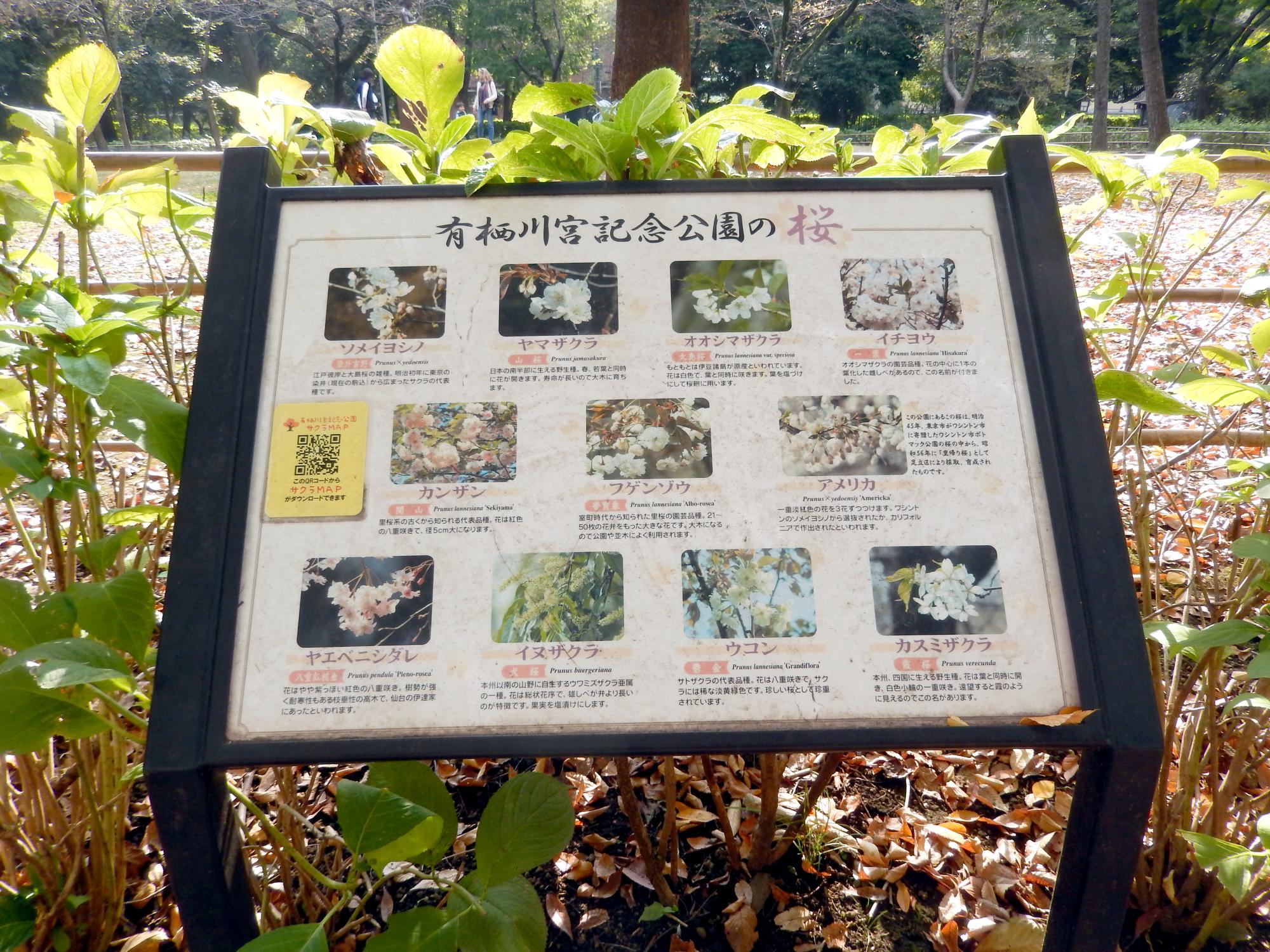 Signs Of Japan - Arisugawa Park Signs #5