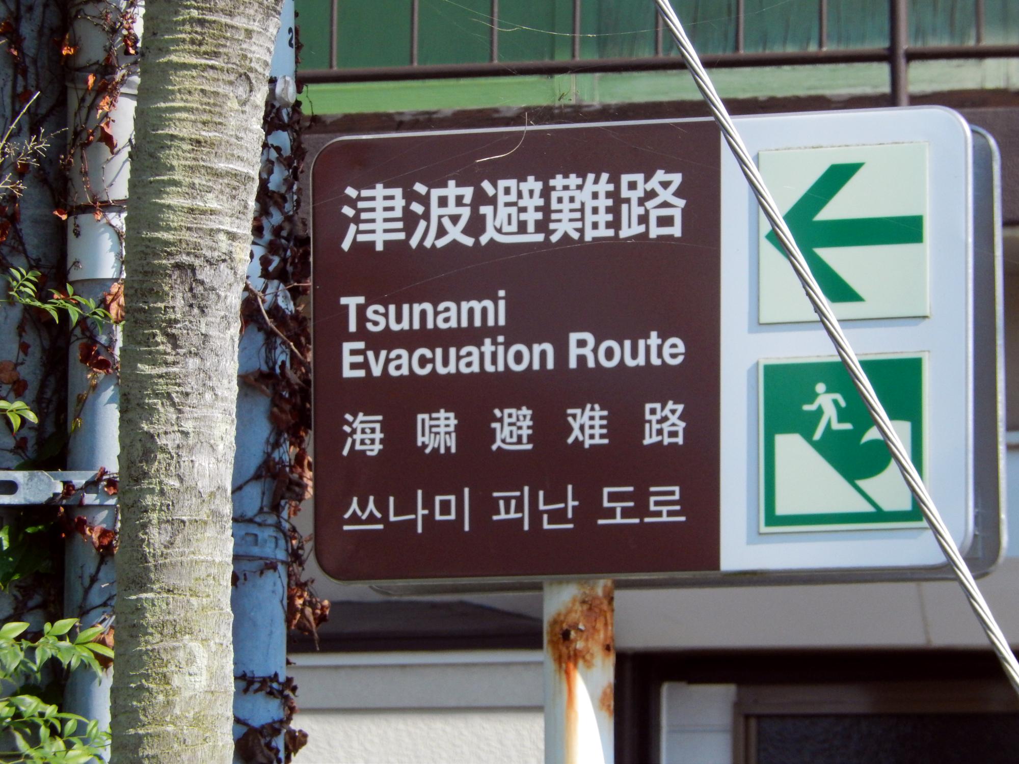 Signs Of Japan - Tsunami Evacuation Route