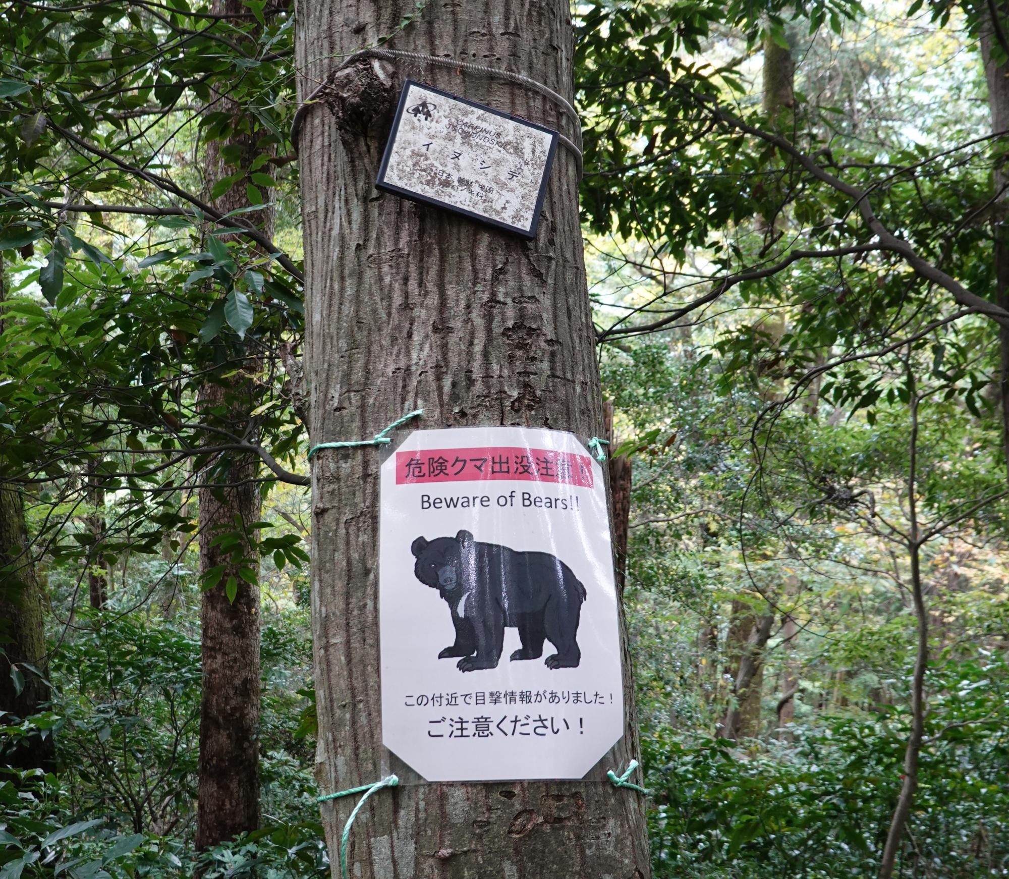 Signs Of Japan - Mt Takao Beware Of Bears