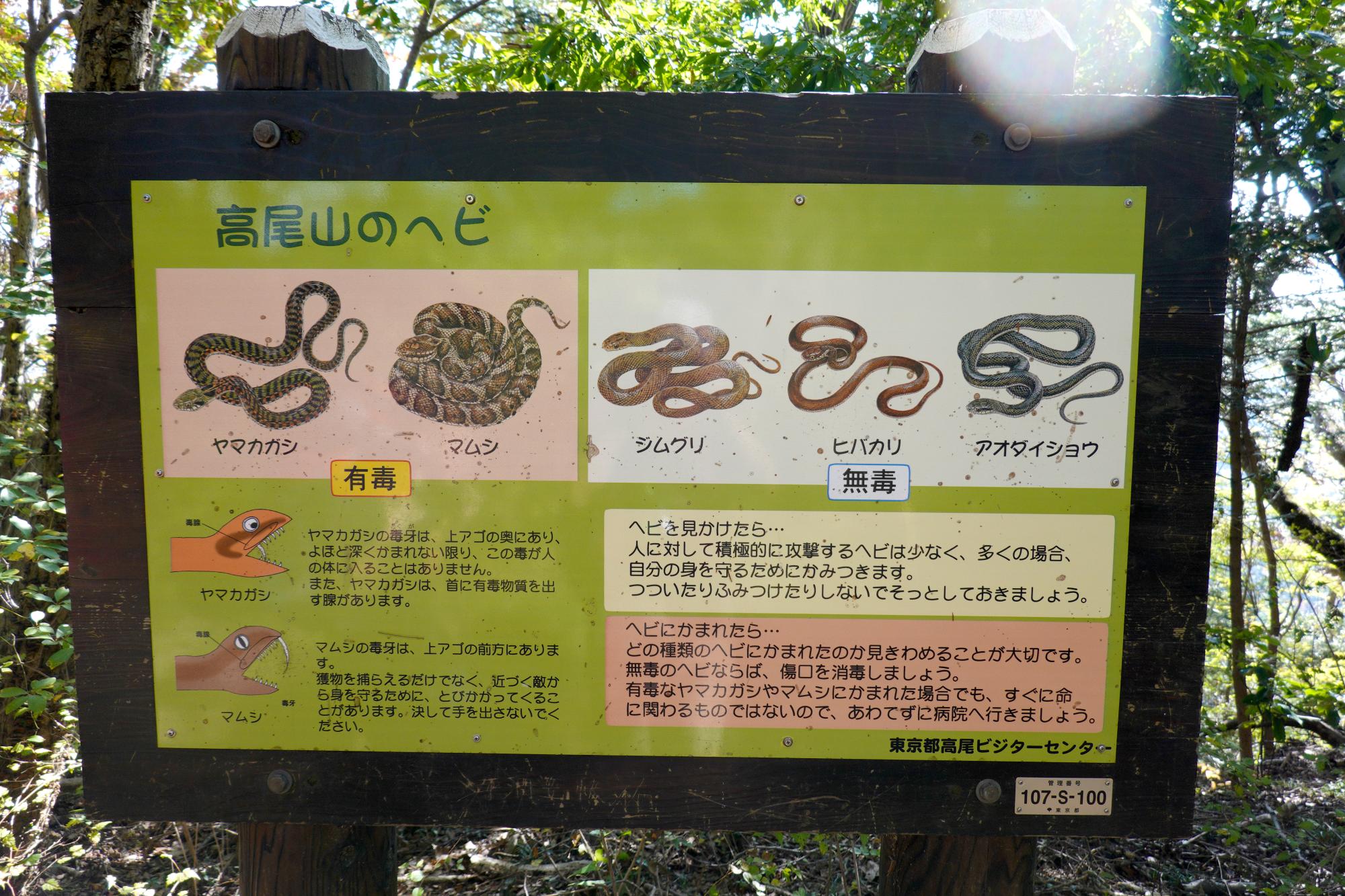Signs Of Japan - Mt Takao Snakes Diagram