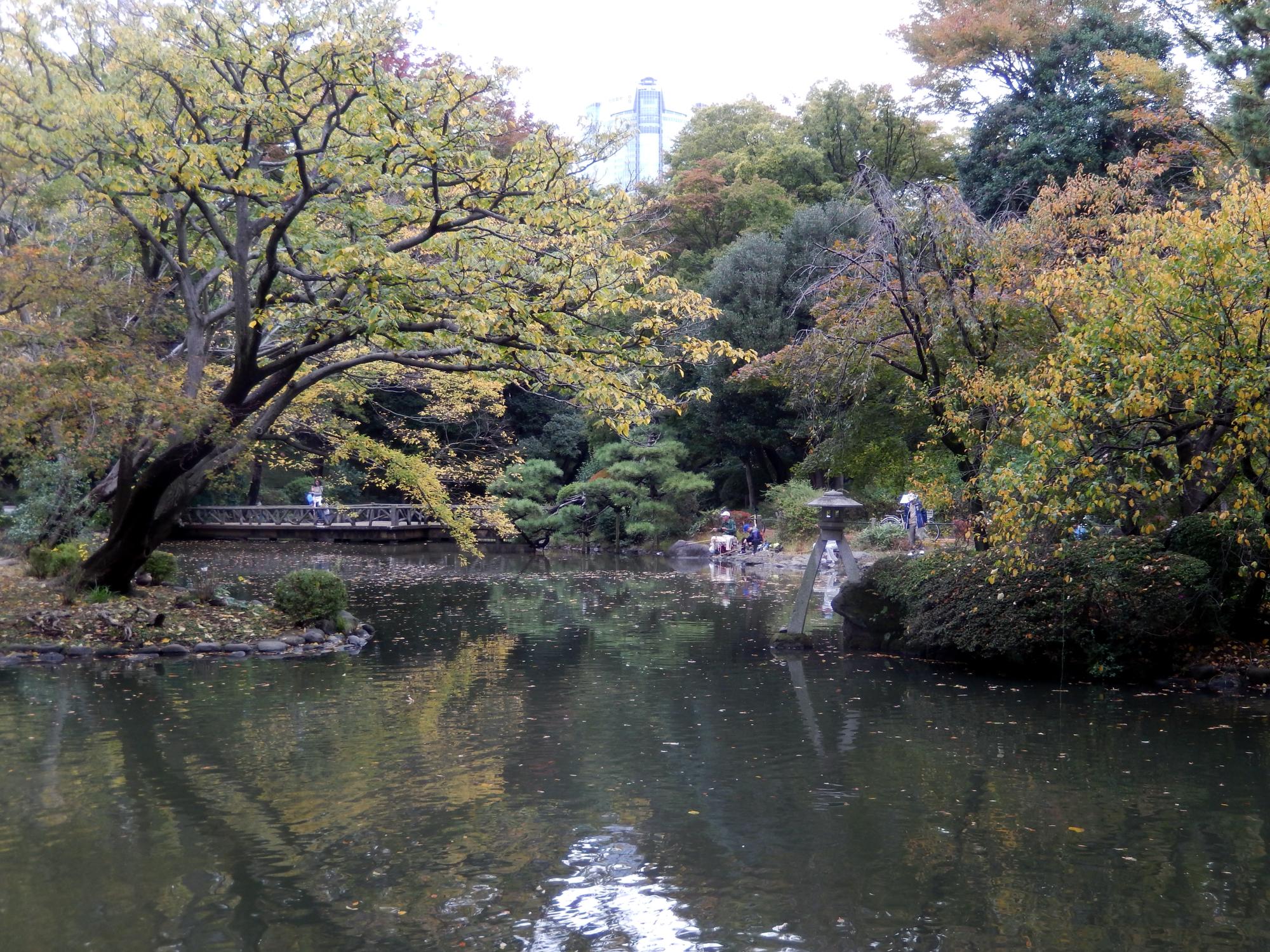 Tokyo (2015) - Arisugawa Park Pond #2