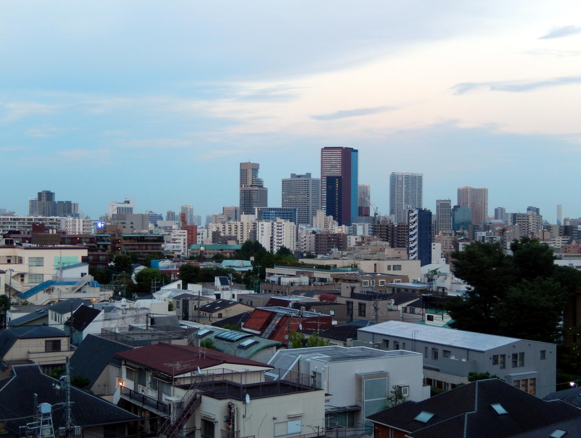 Tokyo (2016) - Rooftop View #2