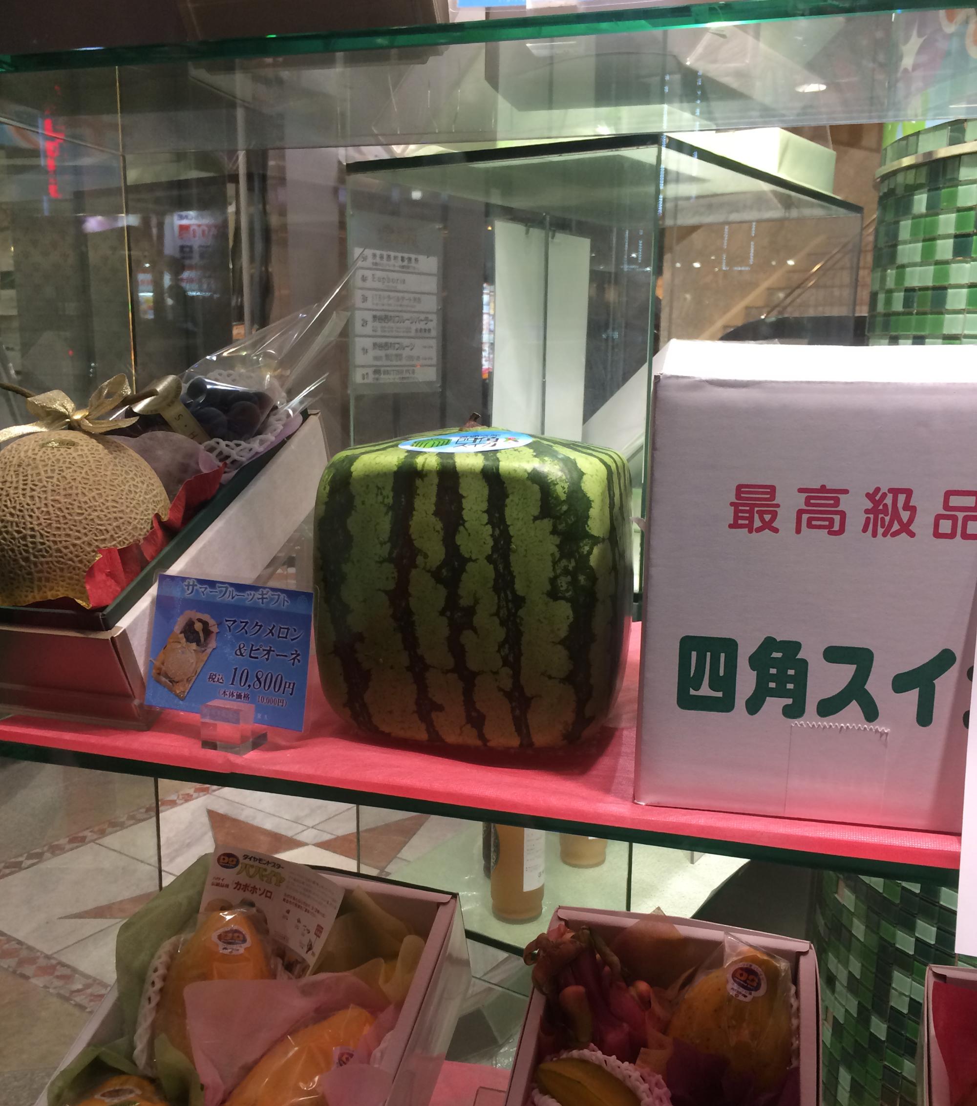 Tokyo (2016) - Square Watermelon